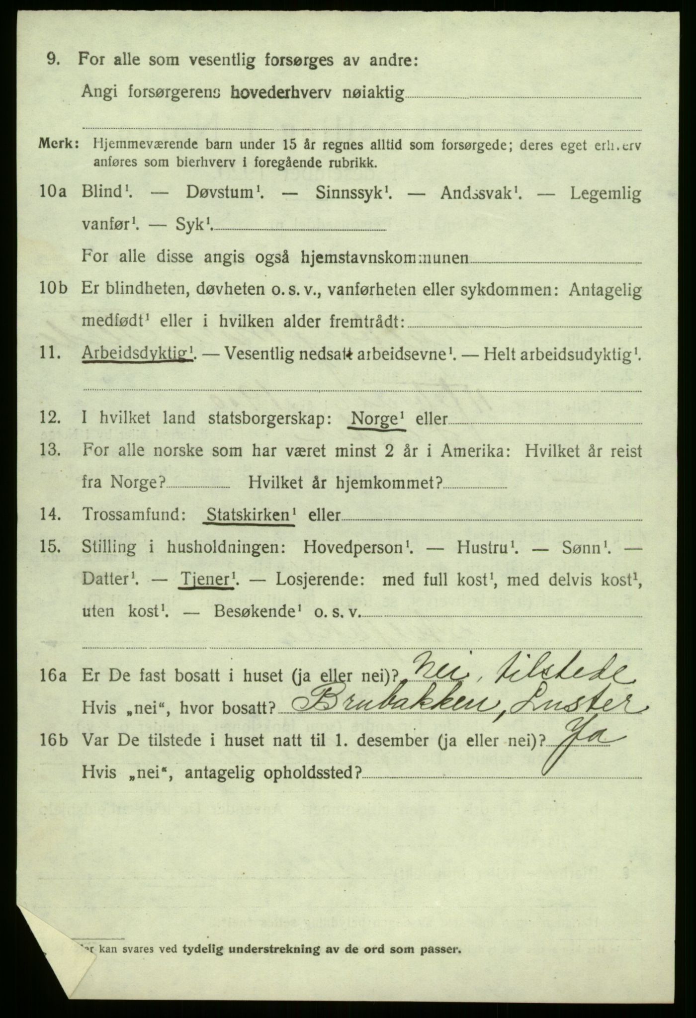 SAB, 1920 census for Luster, 1920, p. 4543