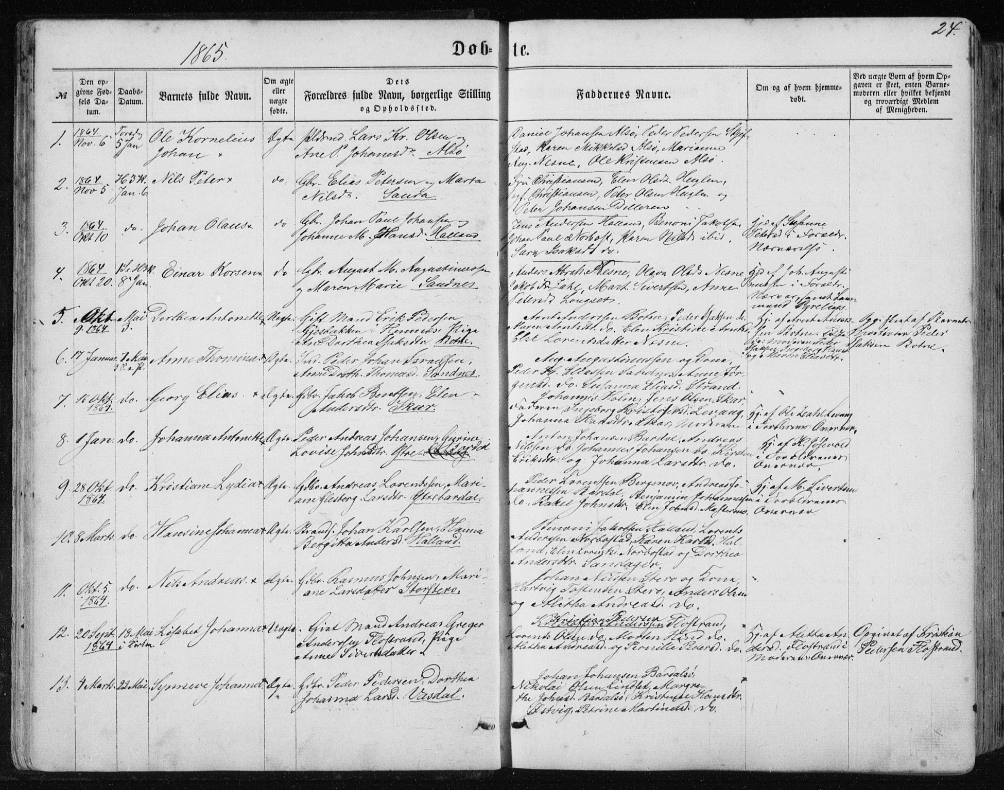 Ministerialprotokoller, klokkerbøker og fødselsregistre - Nordland, SAT/A-1459/838/L0556: Parish register (copy) no. 838C03, 1861-1893, p. 24