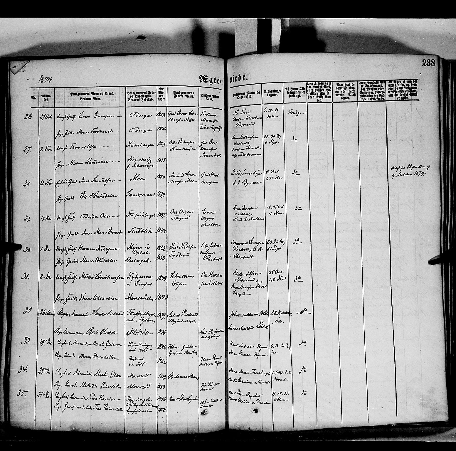 Grue prestekontor, SAH/PREST-036/H/Ha/Haa/L0011: Parish register (official) no. 11, 1873-1880, p. 238