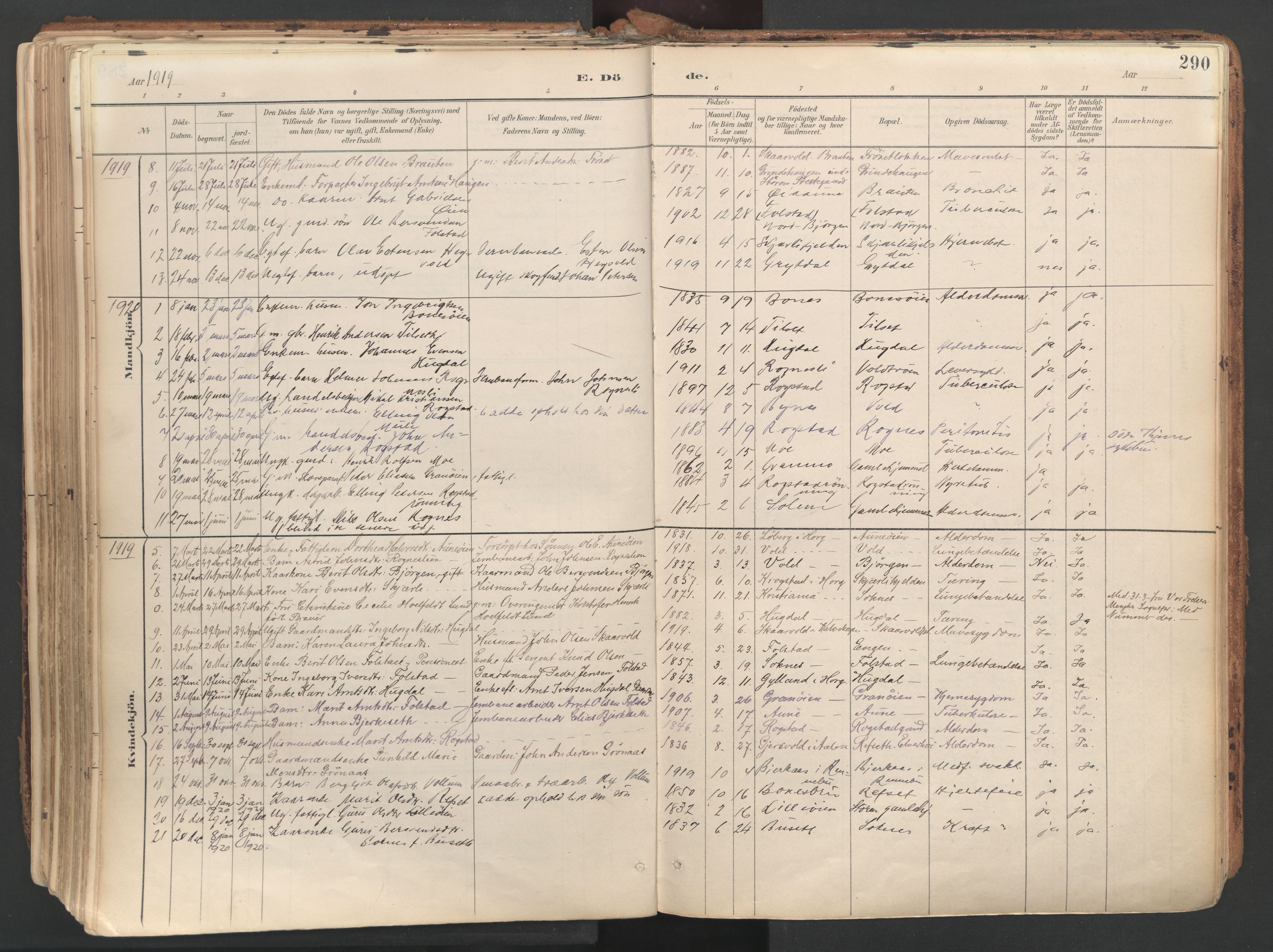 Ministerialprotokoller, klokkerbøker og fødselsregistre - Sør-Trøndelag, AV/SAT-A-1456/687/L1004: Parish register (official) no. 687A10, 1891-1923, p. 290