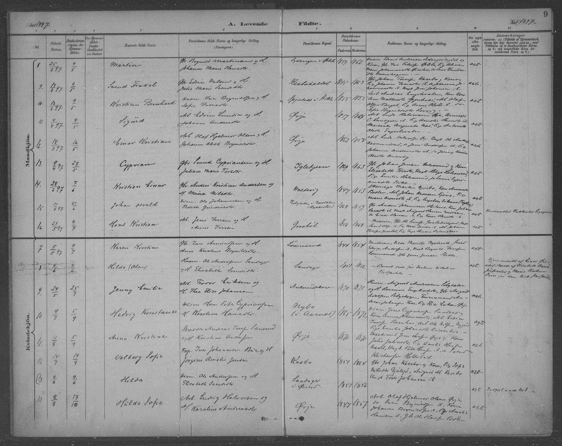 Aremark prestekontor Kirkebøker, SAO/A-10899/F/Fb/L0005: Parish register (official) no. II 5, 1895-1919, p. 9