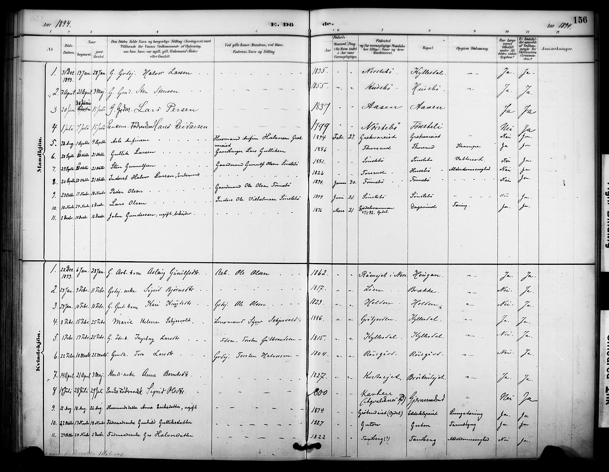Nore kirkebøker, SAKO/A-238/F/Fc/L0004: Parish register (official) no. III 4, 1885-1898, p. 156