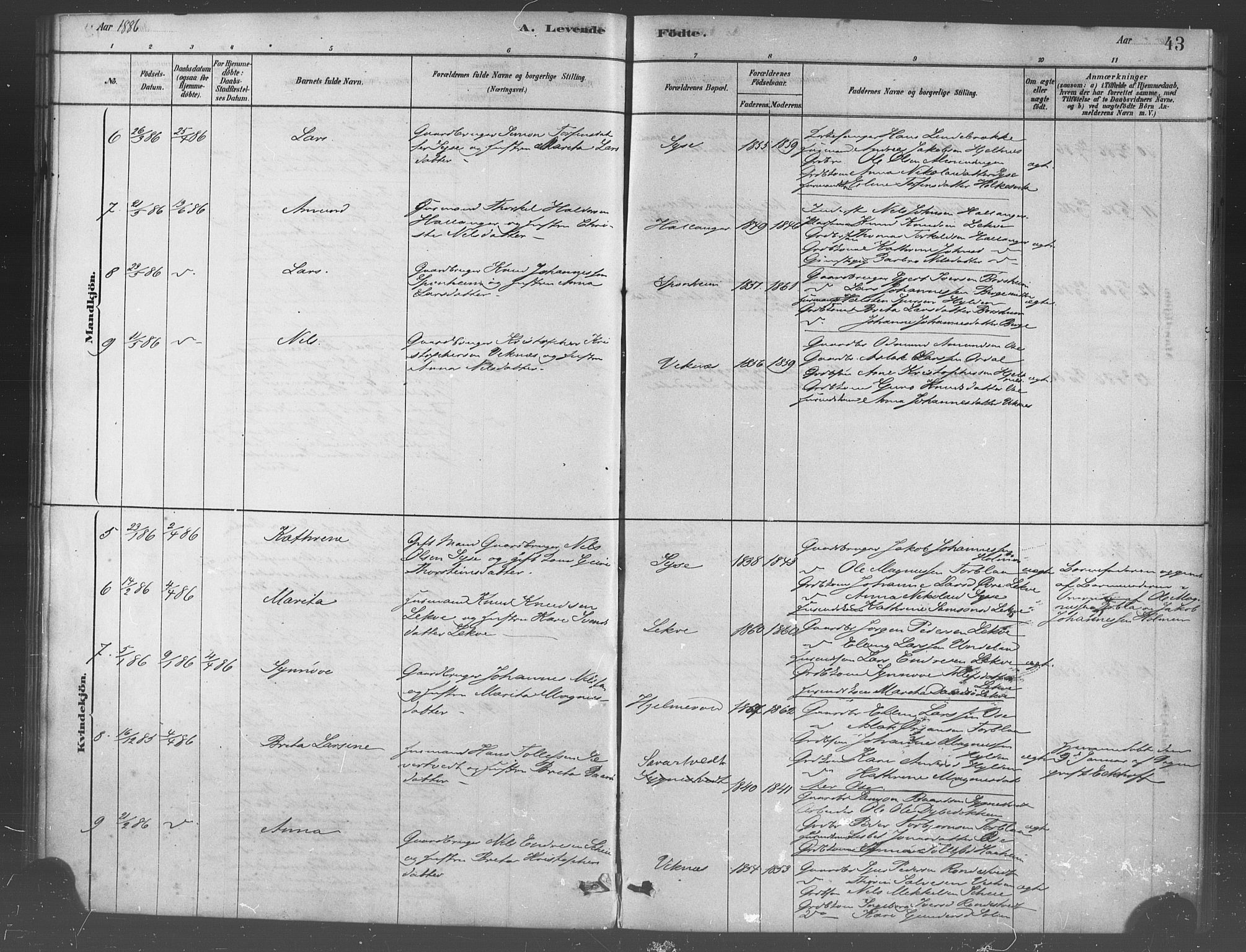 Ulvik sokneprestembete, AV/SAB-A-78801/H/Haa: Parish register (official) no. B 1, 1878-1897, p. 43