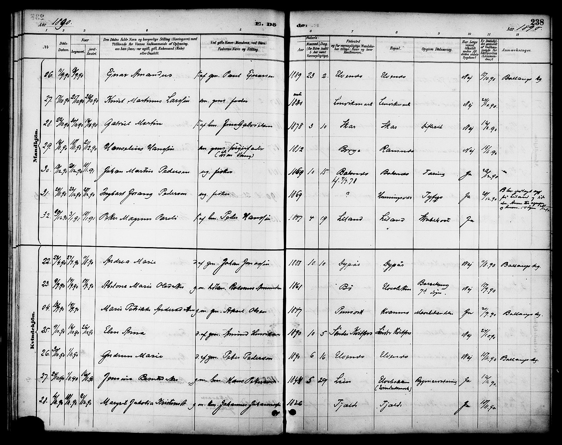 Ministerialprotokoller, klokkerbøker og fødselsregistre - Nordland, AV/SAT-A-1459/863/L0898: Parish register (official) no. 863A10, 1886-1897, p. 238