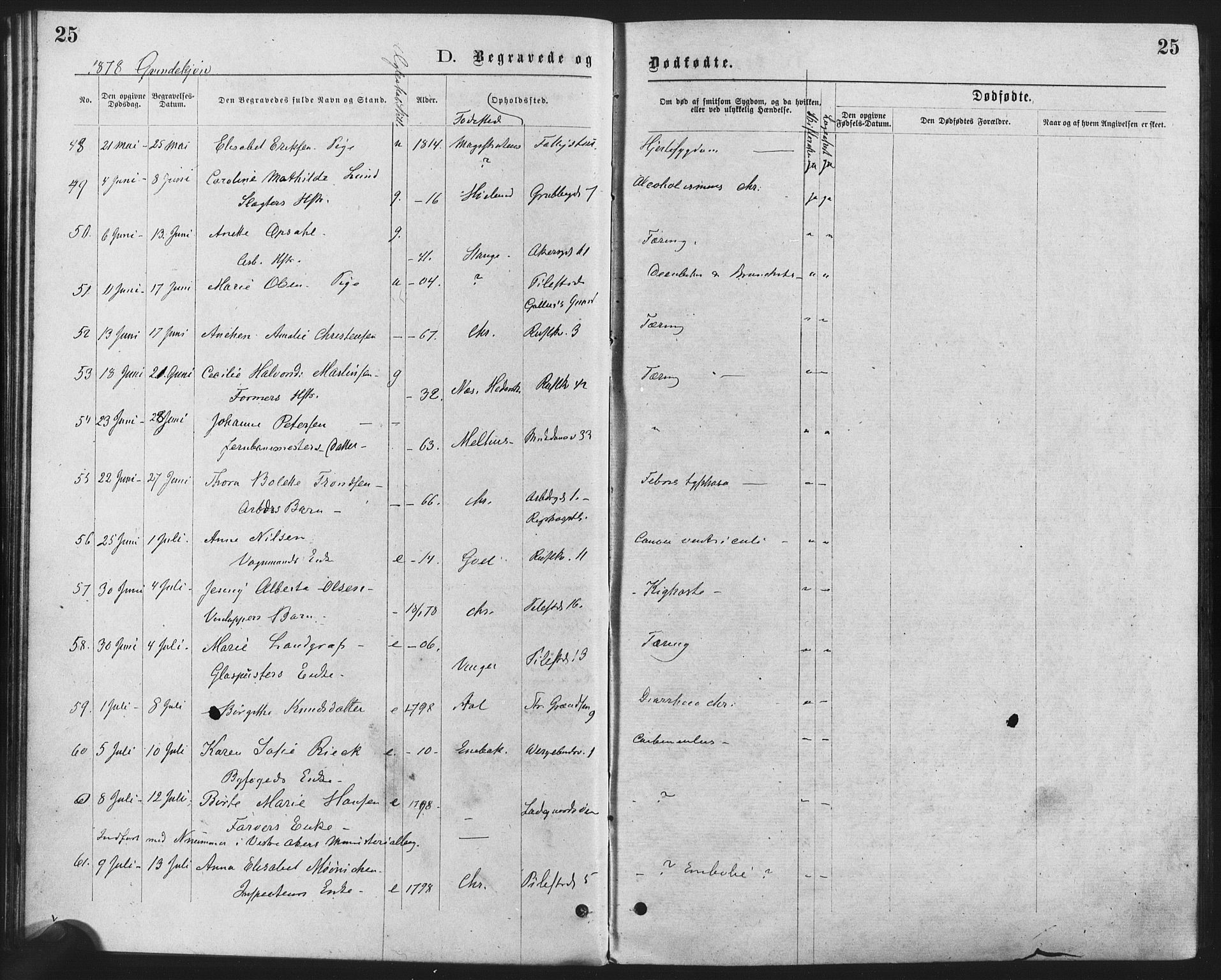 Trefoldighet prestekontor Kirkebøker, SAO/A-10882/F/Fd/L0002: Parish register (official) no. IV 2, 1877-1885, p. 25