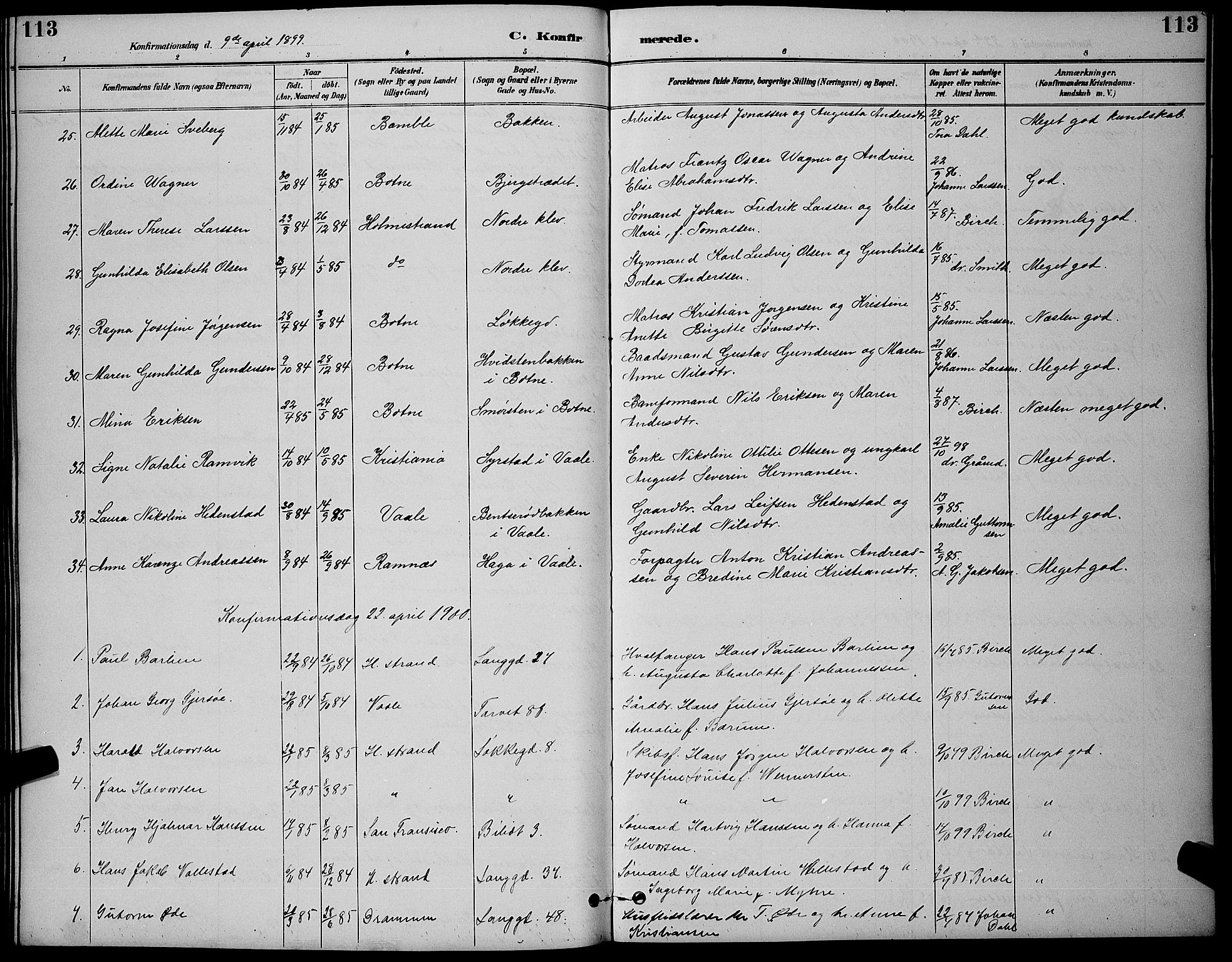 Holmestrand kirkebøker, AV/SAKO-A-346/G/Ga/L0005: Parish register (copy) no. 5, 1889-1901, p. 113