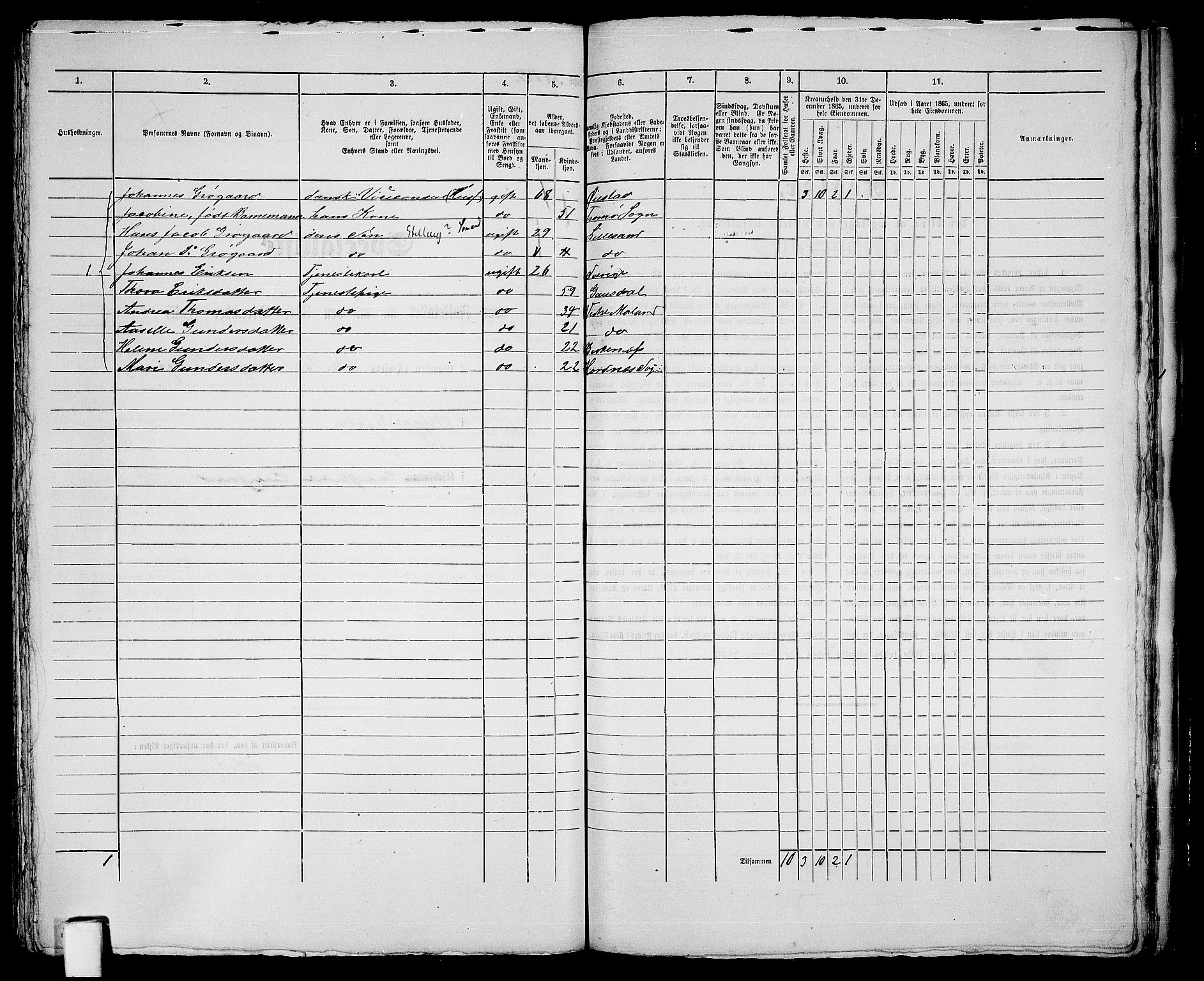 RA, 1865 census for Vestre Moland/Lillesand, 1865, p. 304