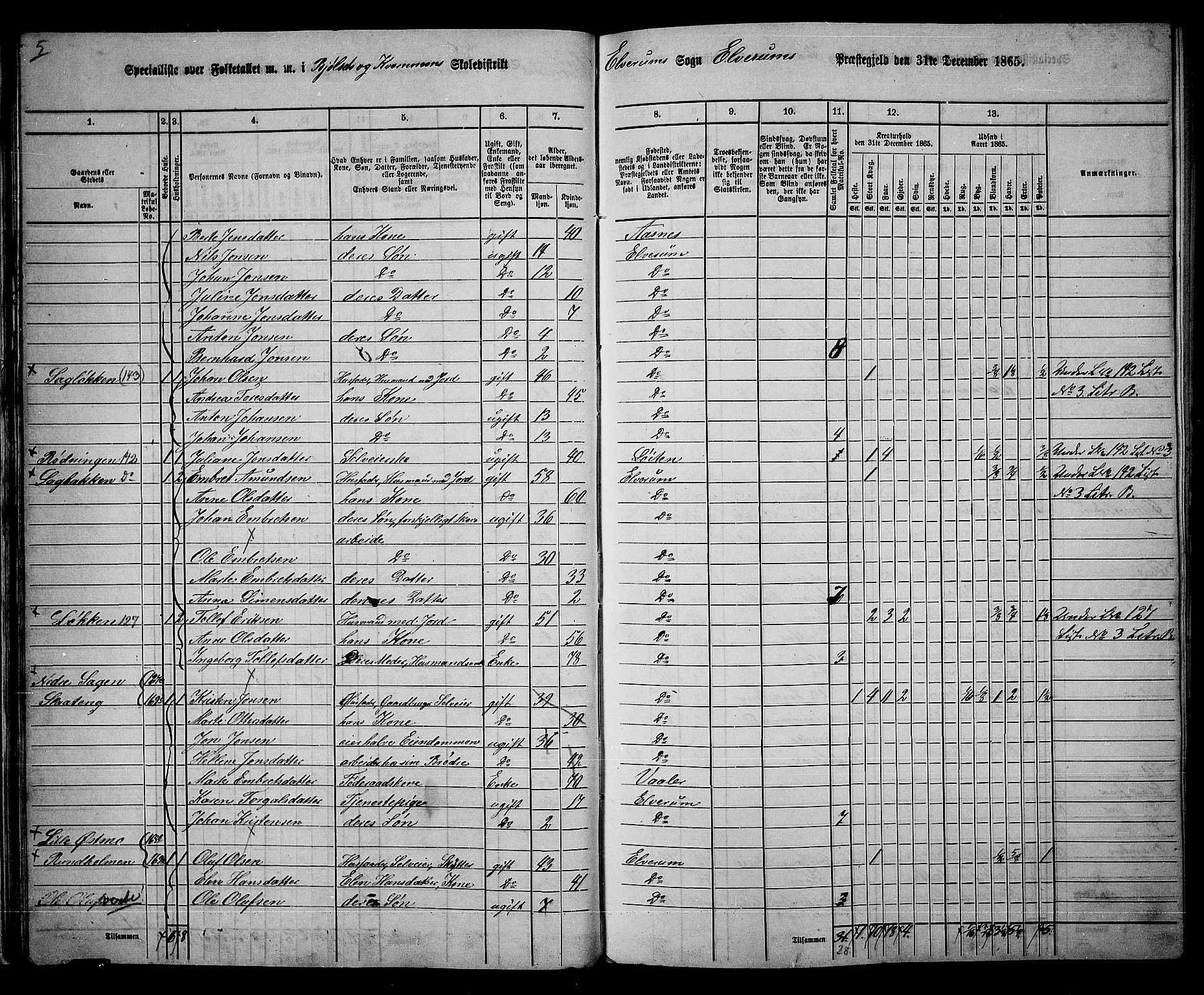 RA, 1865 census for Elverum, 1865, p. 29