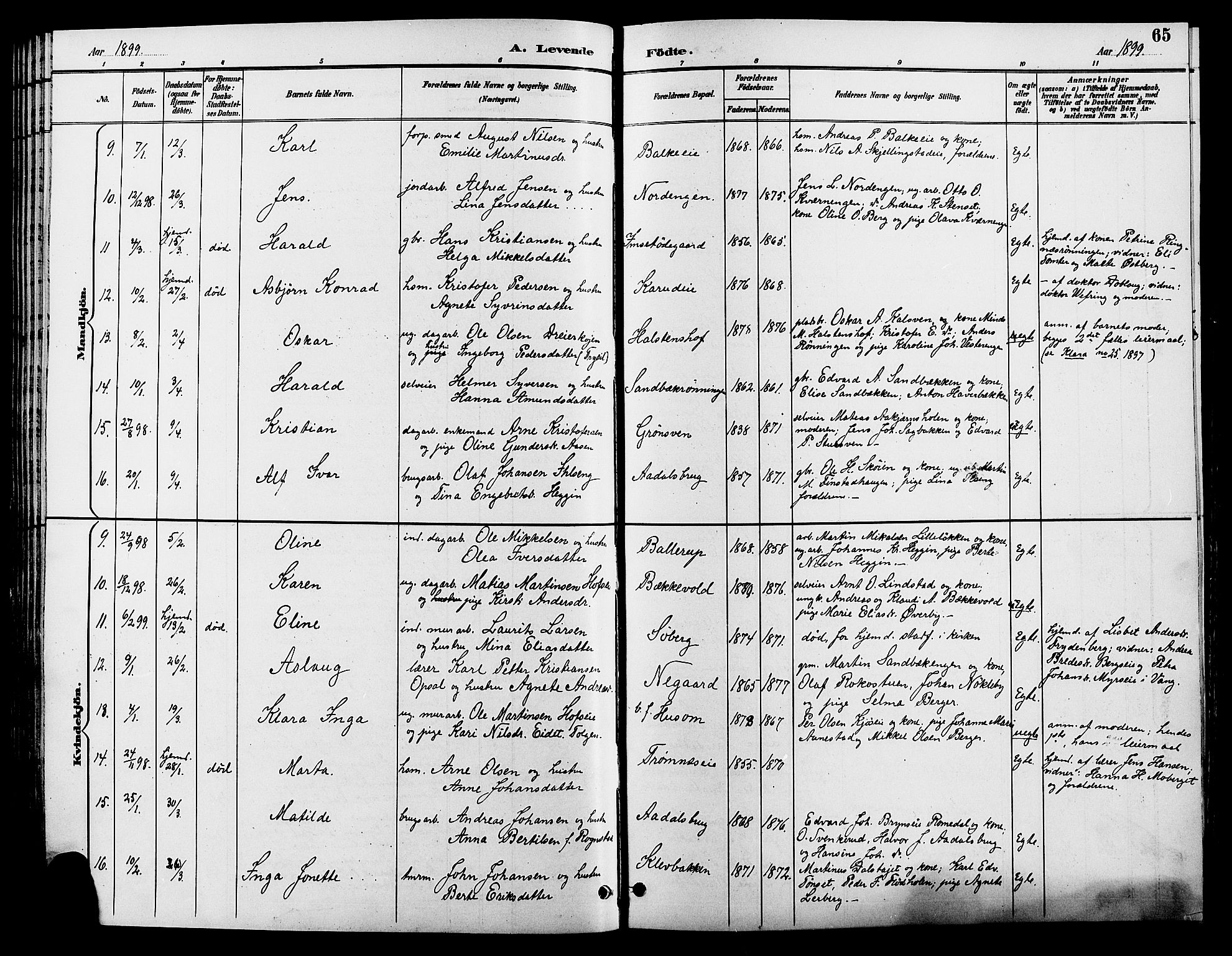 Løten prestekontor, SAH/PREST-022/L/La/L0006: Parish register (copy) no. 6, 1892-1909, p. 65