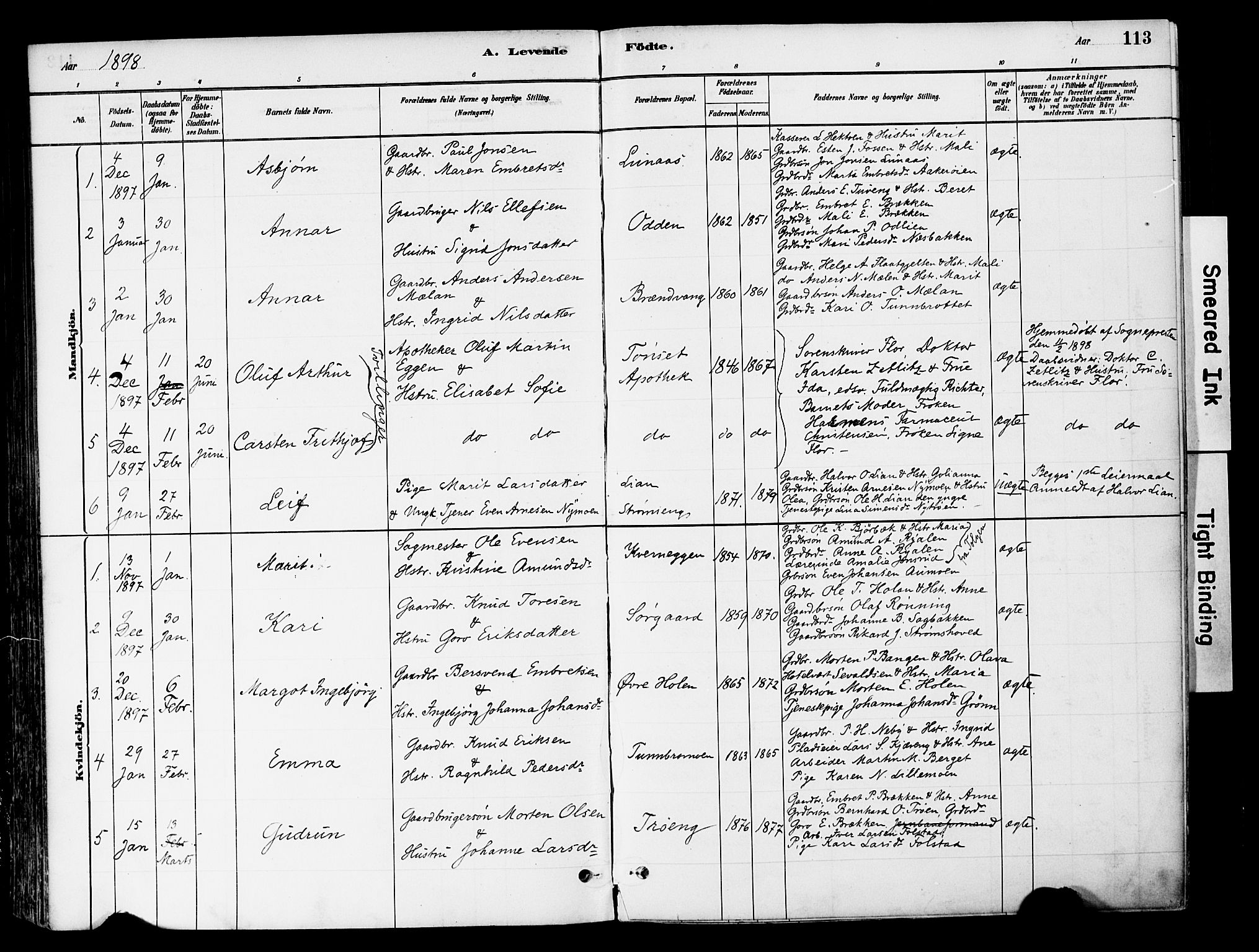 Tynset prestekontor, SAH/PREST-058/H/Ha/Haa/L0022: Parish register (official) no. 22, 1880-1899, p. 113