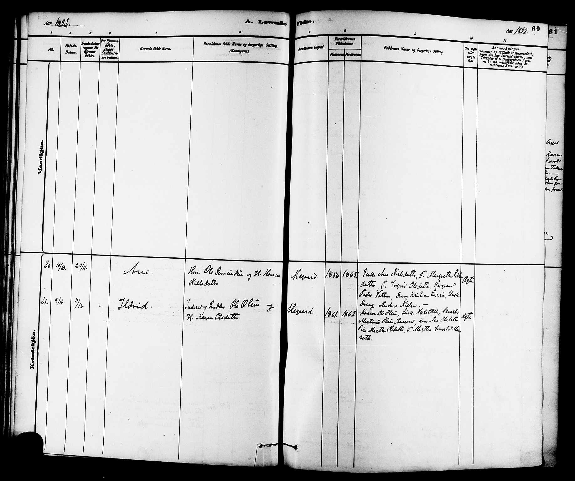 Ministerialprotokoller, klokkerbøker og fødselsregistre - Møre og Romsdal, AV/SAT-A-1454/576/L0885: Parish register (official) no. 576A03, 1880-1898, p. 60