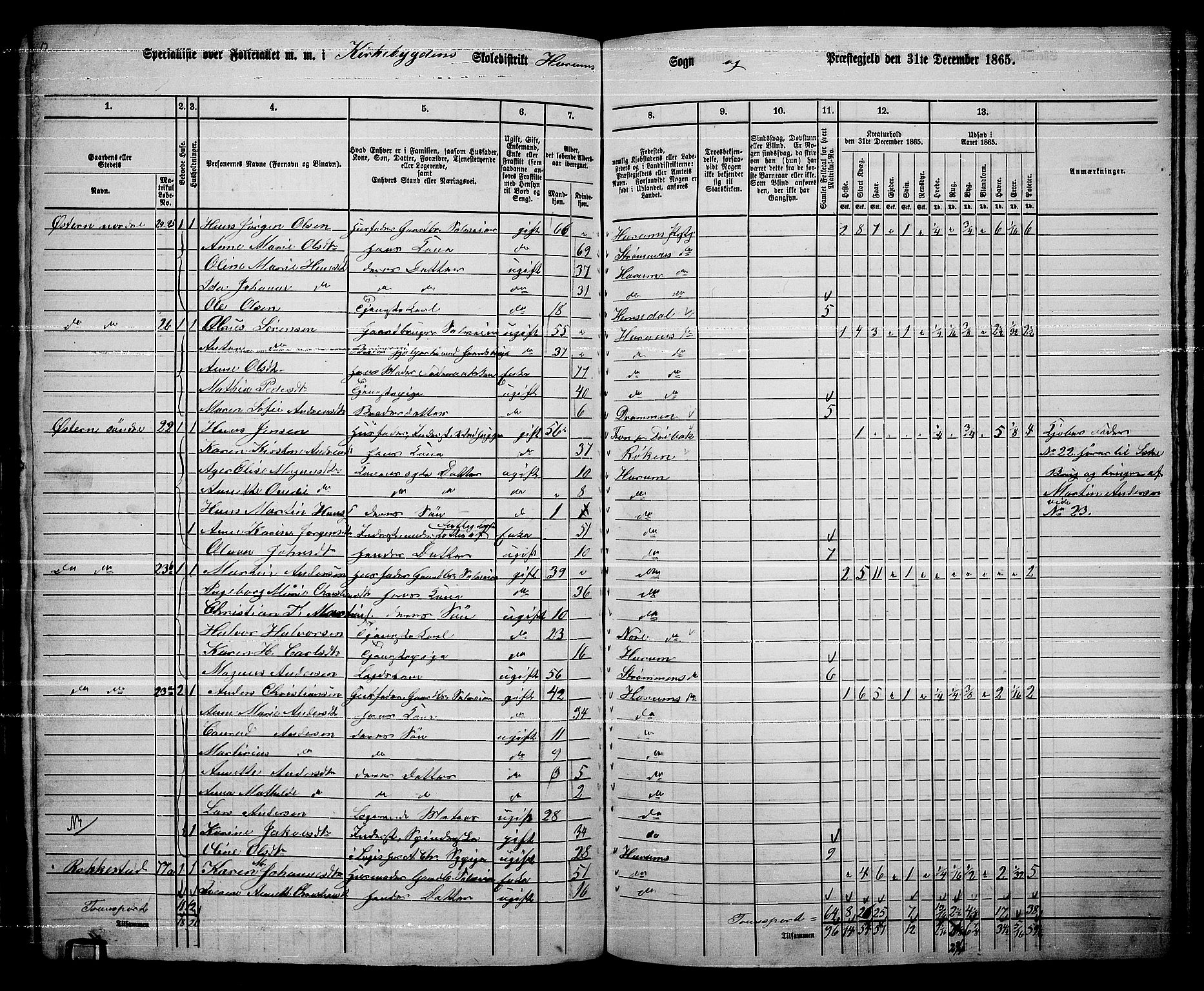 RA, 1865 census for Hurum, 1865, p. 8