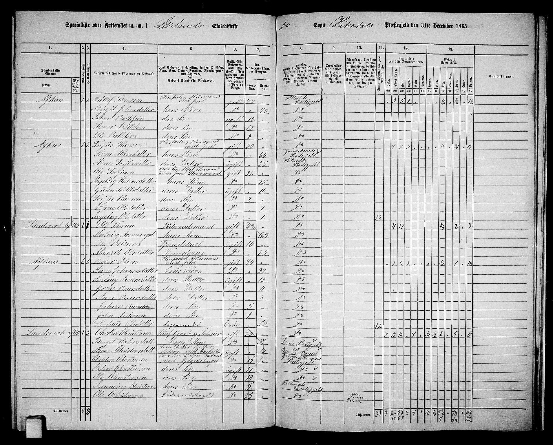 RA, 1865 census for Heddal, 1865, p. 131