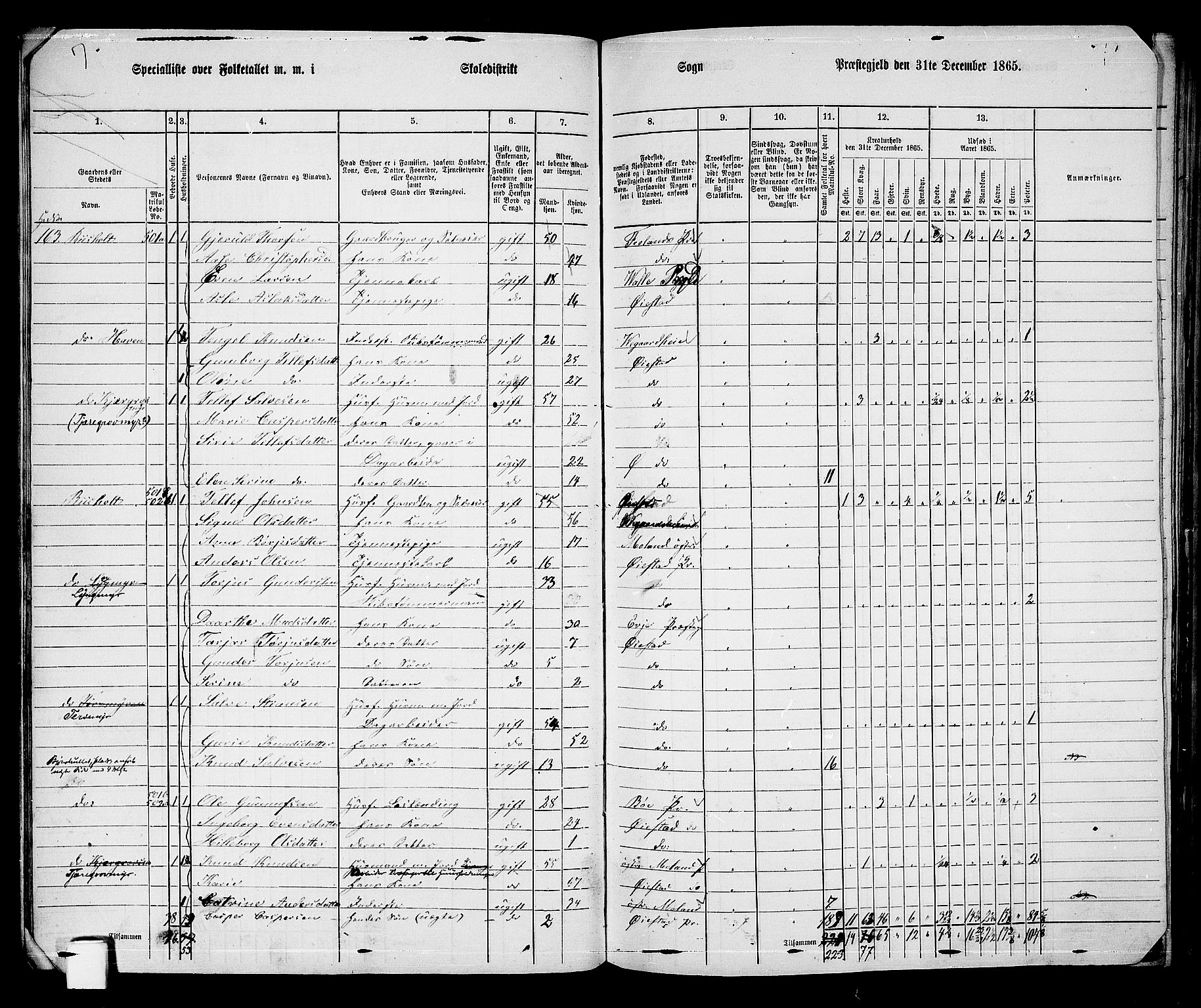 RA, 1865 census for Øyestad, 1865, p. 33