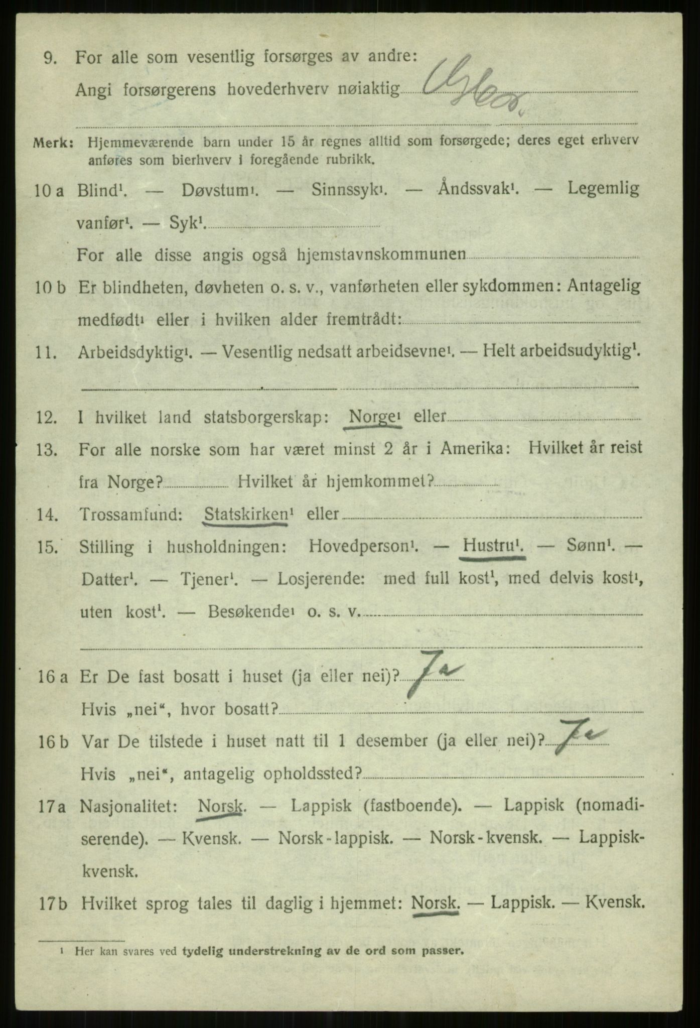 SATØ, 1920 census for Lenvik, 1920, p. 4653