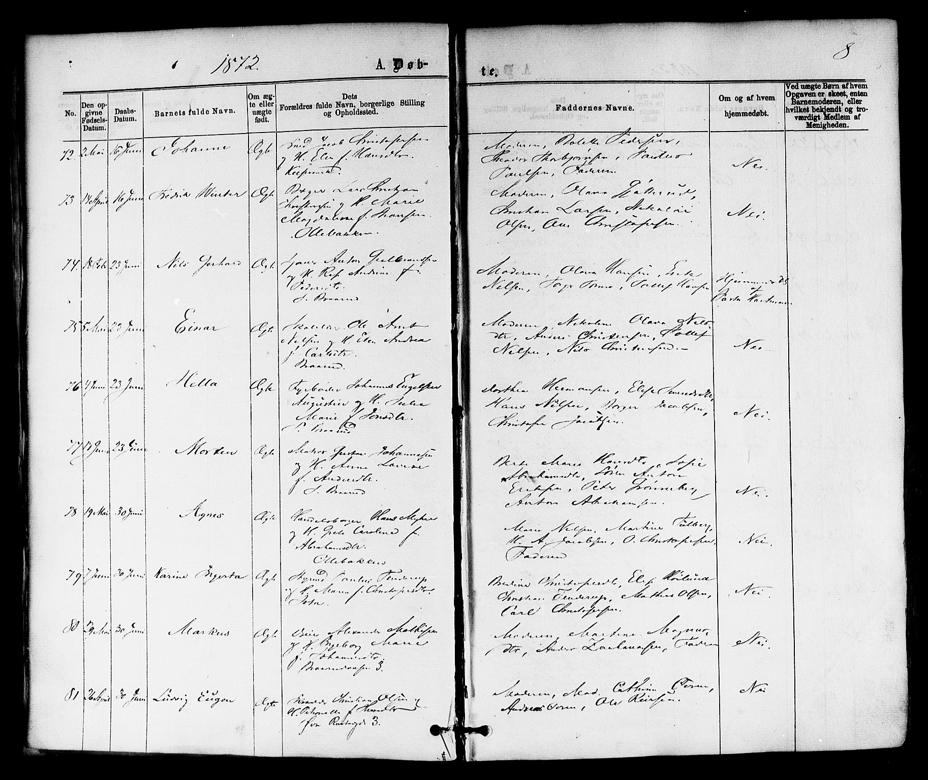 Horten kirkebøker, SAKO/A-348/F/Fa/L0002: Parish register (official) no. 2, 1872-1877, p. 8