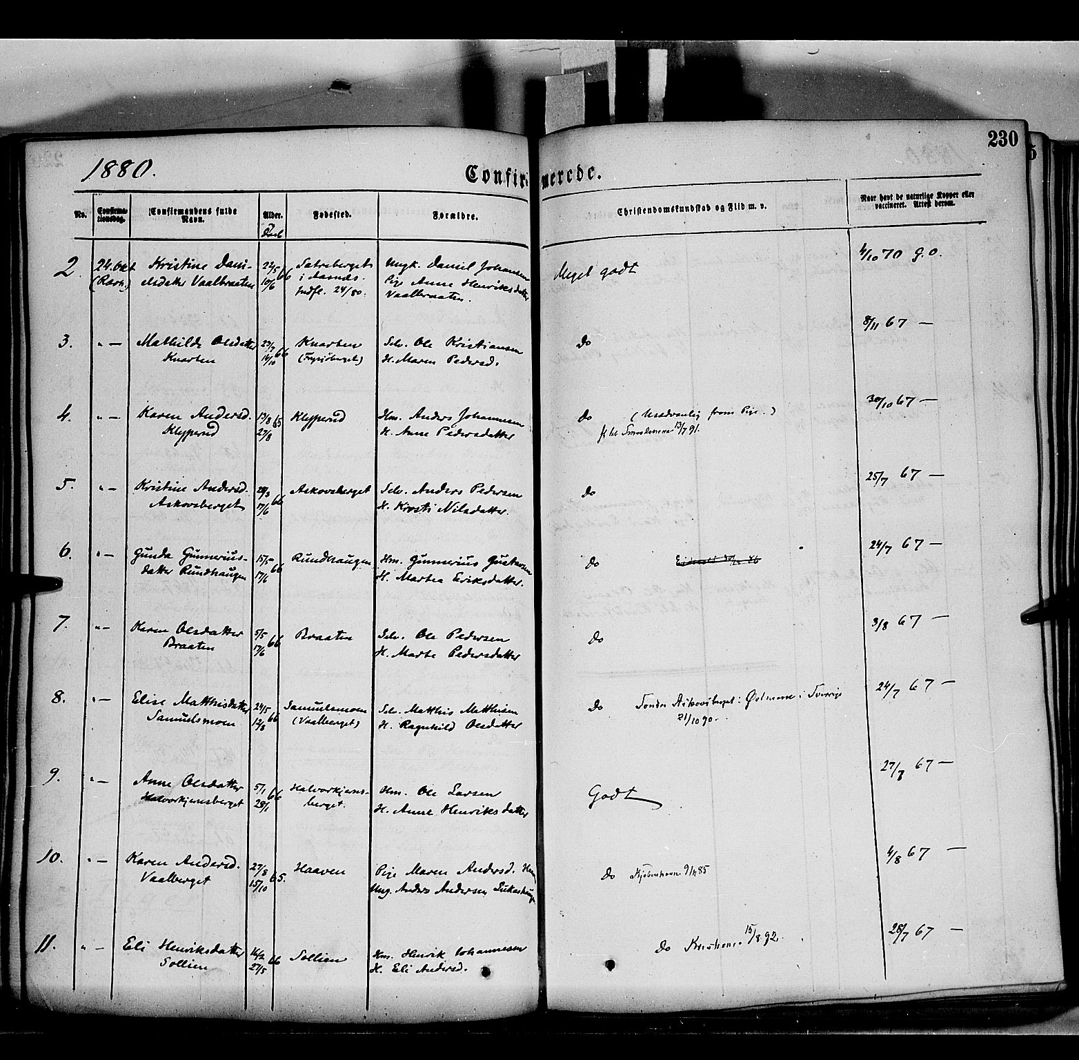 Grue prestekontor, AV/SAH-PREST-036/H/Ha/Haa/L0011: Parish register (official) no. 11, 1873-1880, p. 230