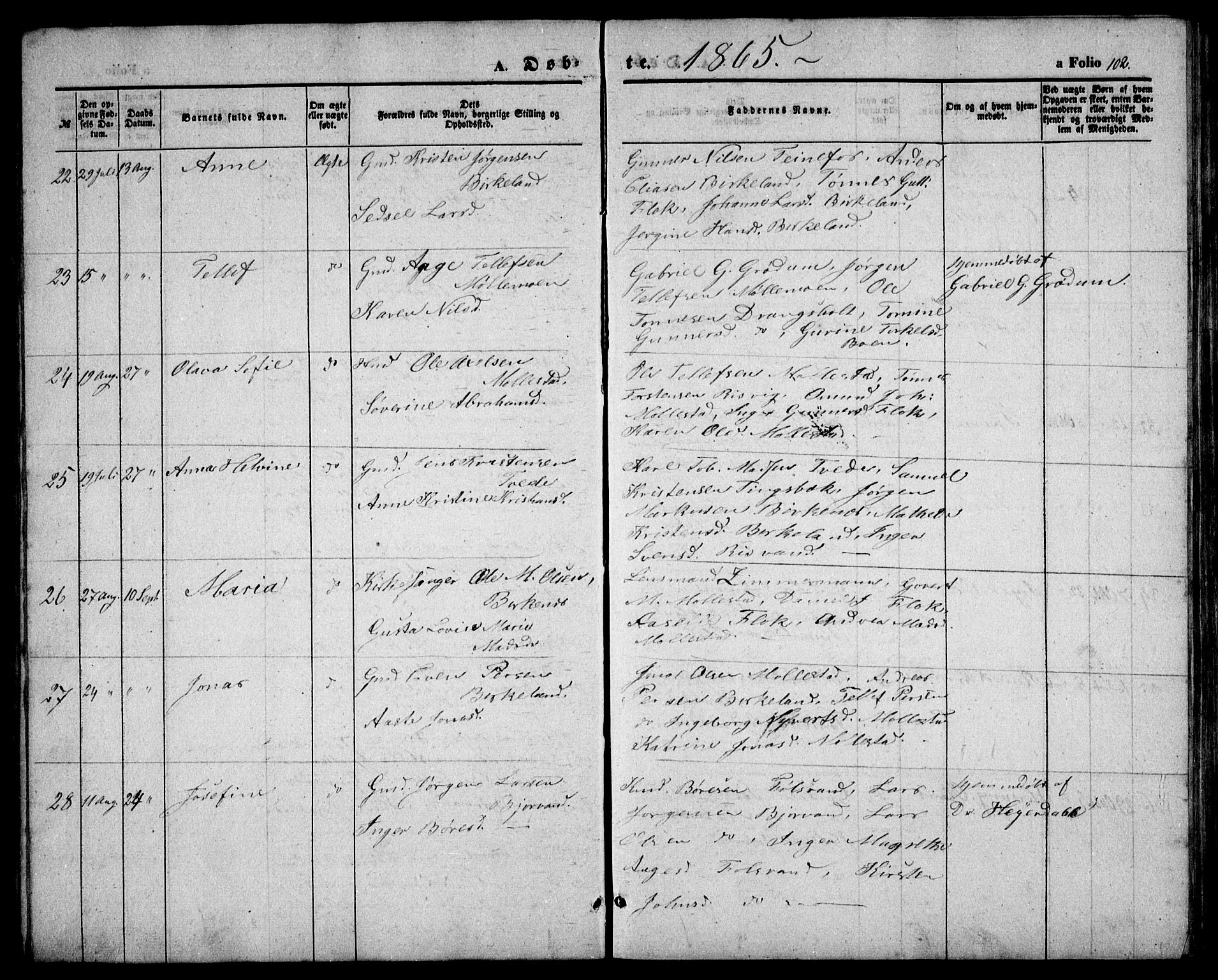 Birkenes sokneprestkontor, AV/SAK-1111-0004/F/Fb/L0002: Parish register (copy) no. B 2, 1849-1876, p. 102