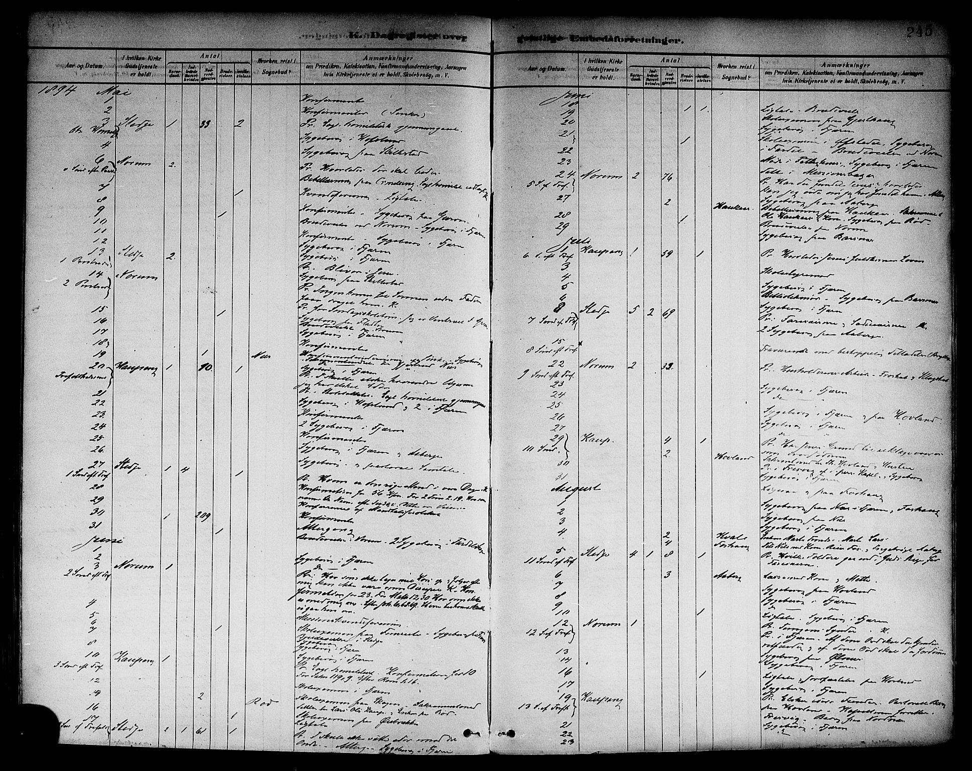 Sogndal sokneprestembete, AV/SAB-A-81301/H/Haa/Haab/L0001: Parish register (official) no. B 1, 1878-1899, p. 245