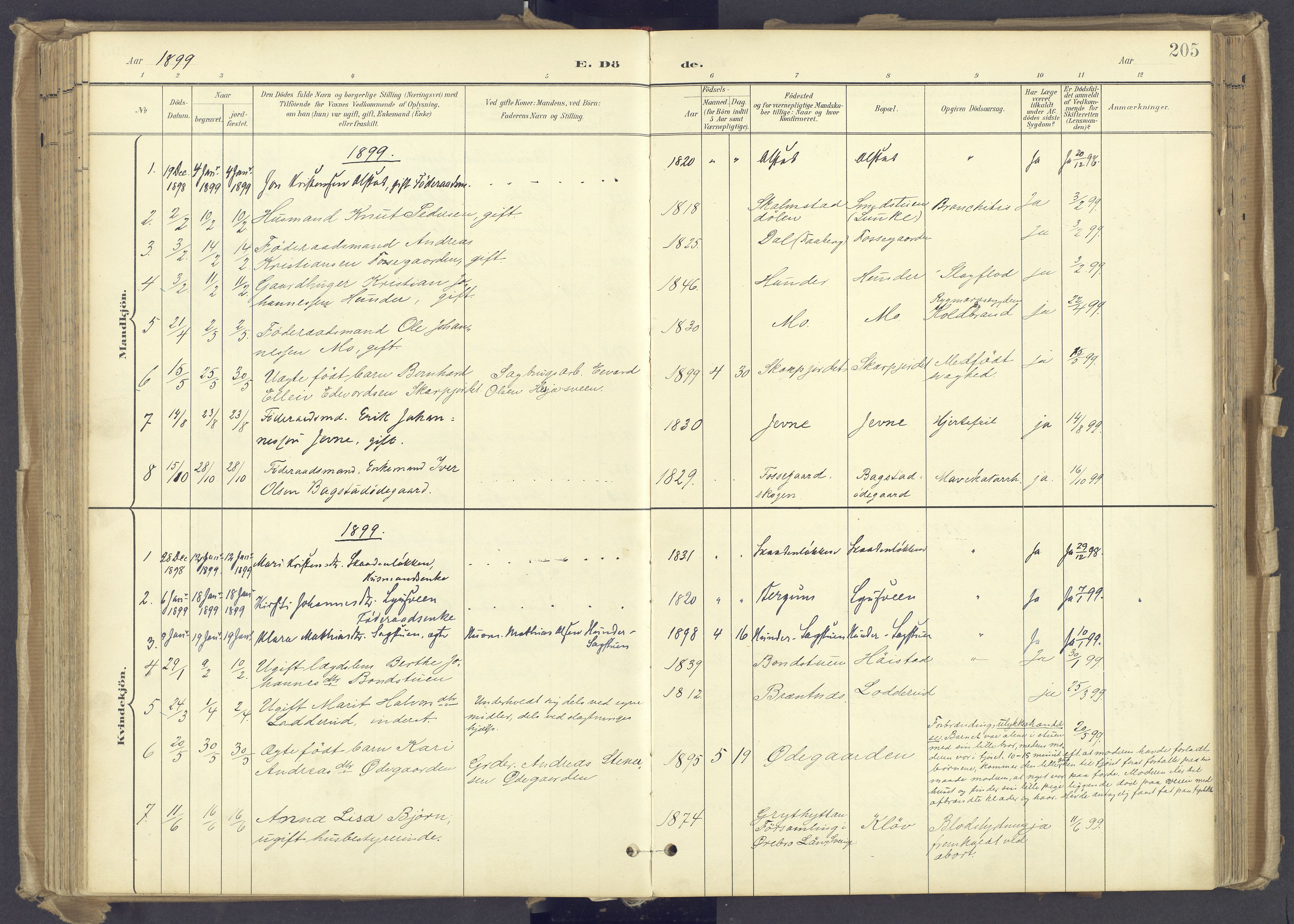 Øyer prestekontor, AV/SAH-PREST-084/H/Ha/Haa/L0012: Parish register (official) no. 12, 1897-1920, p. 205