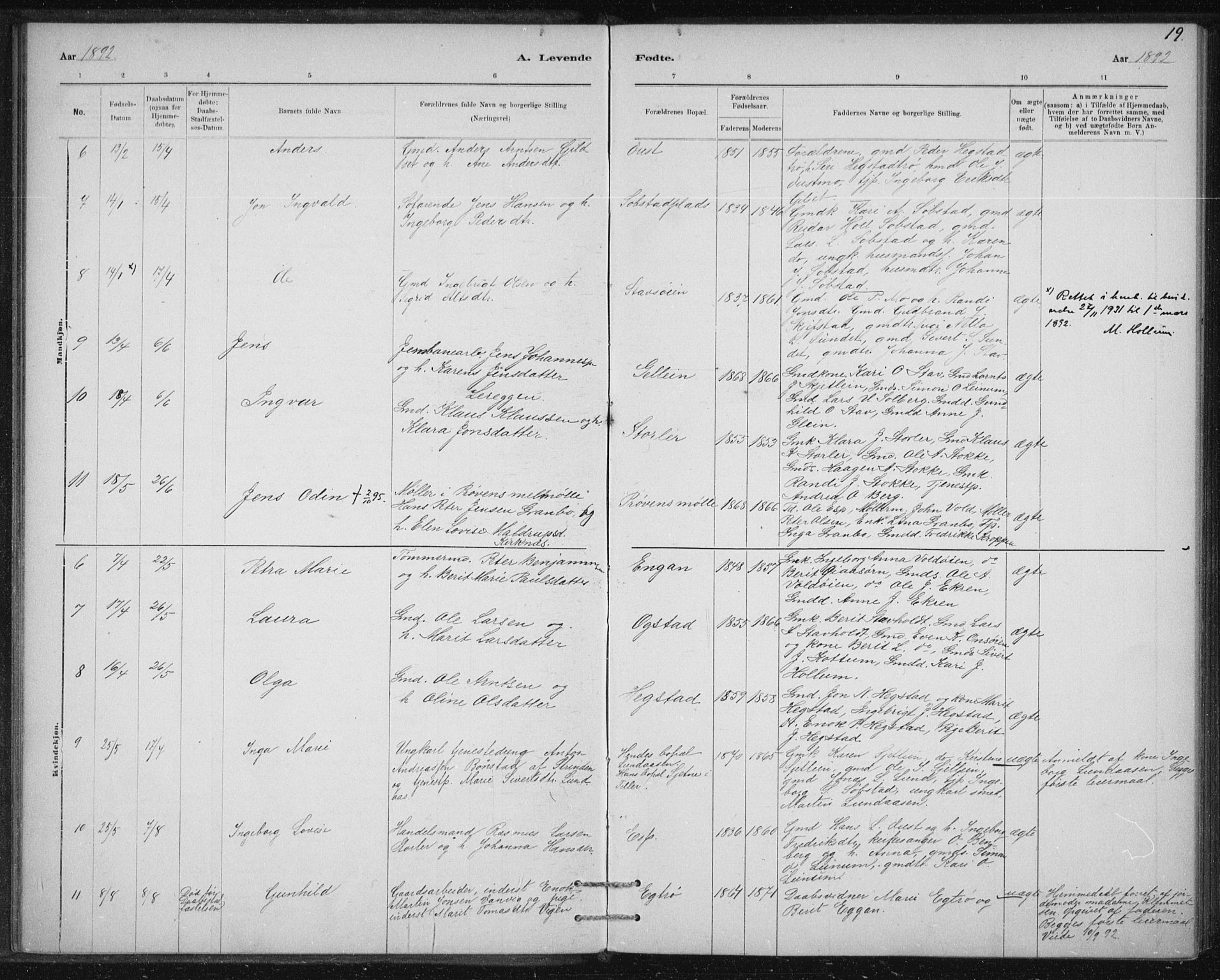 Ministerialprotokoller, klokkerbøker og fødselsregistre - Sør-Trøndelag, SAT/A-1456/613/L0392: Parish register (official) no. 613A01, 1887-1906, p. 19