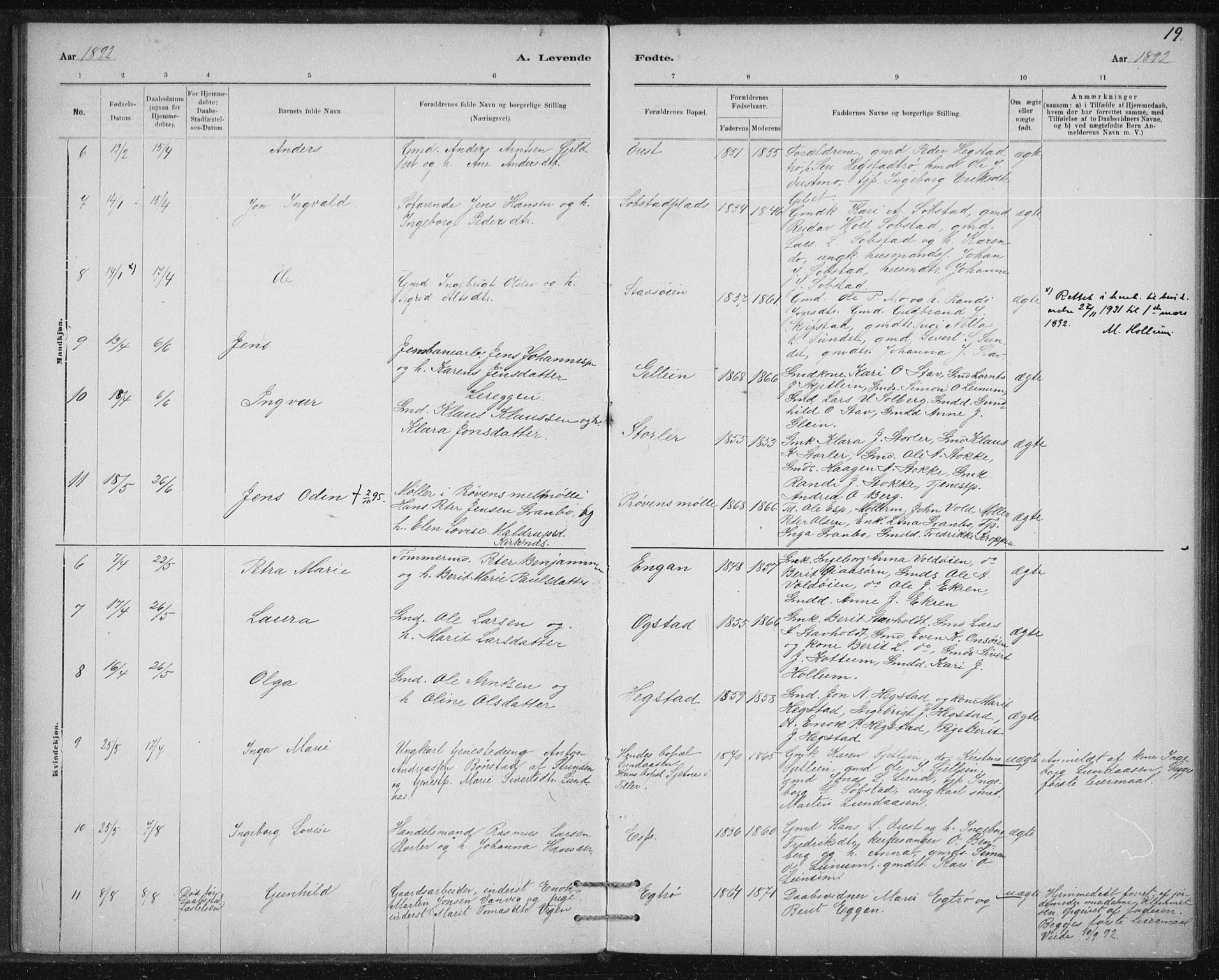 Ministerialprotokoller, klokkerbøker og fødselsregistre - Sør-Trøndelag, AV/SAT-A-1456/613/L0392: Parish register (official) no. 613A01, 1887-1906, p. 19