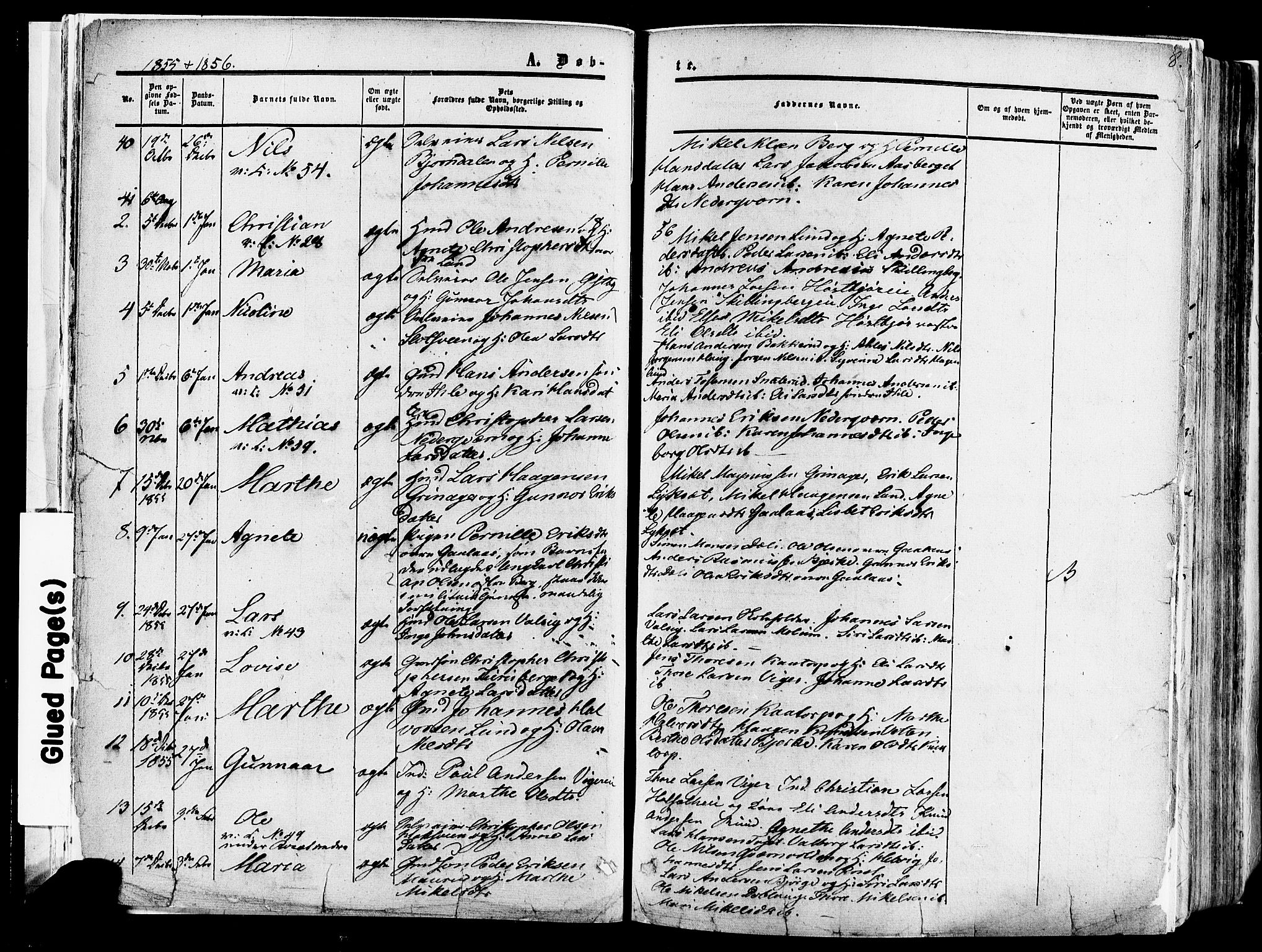 Vang prestekontor, Hedmark, SAH/PREST-008/H/Ha/Haa/L0013: Parish register (official) no. 13, 1855-1879, p. 8