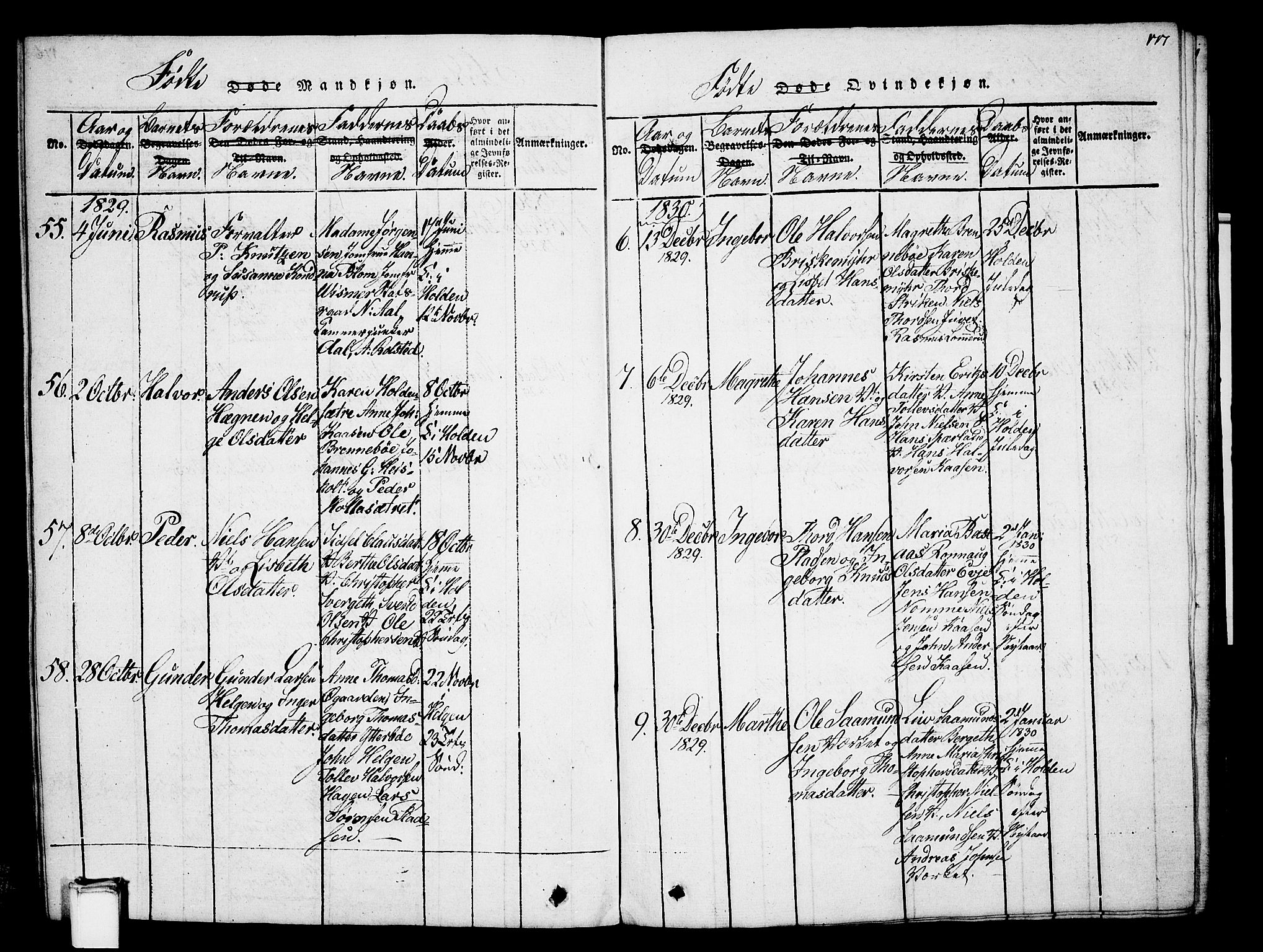 Holla kirkebøker, SAKO/A-272/G/Ga/L0001: Parish register (copy) no. I 1, 1814-1830, p. 177