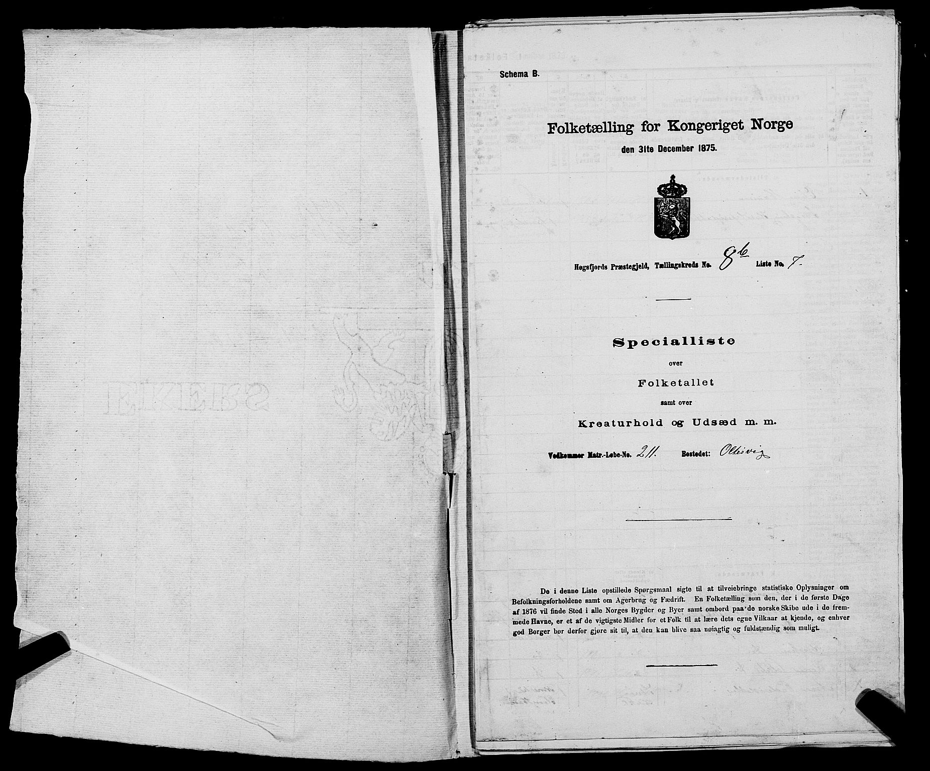 SAST, 1875 census for 1128P Høgsfjord, 1875, p. 719