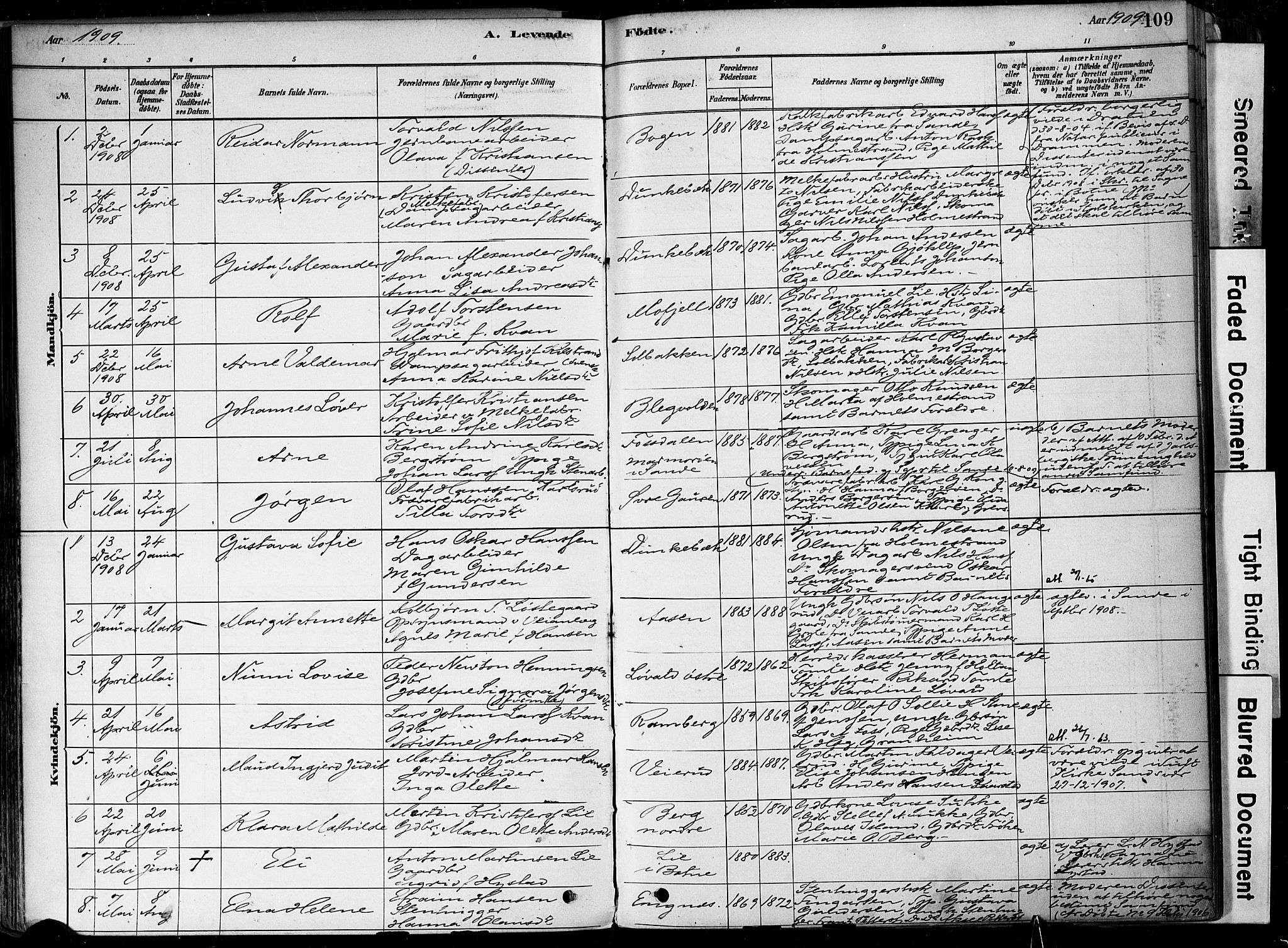 Botne kirkebøker, SAKO/A-340/F/Fa/L0007: Parish register (official) no. I 7, 1878-1910, p. 109