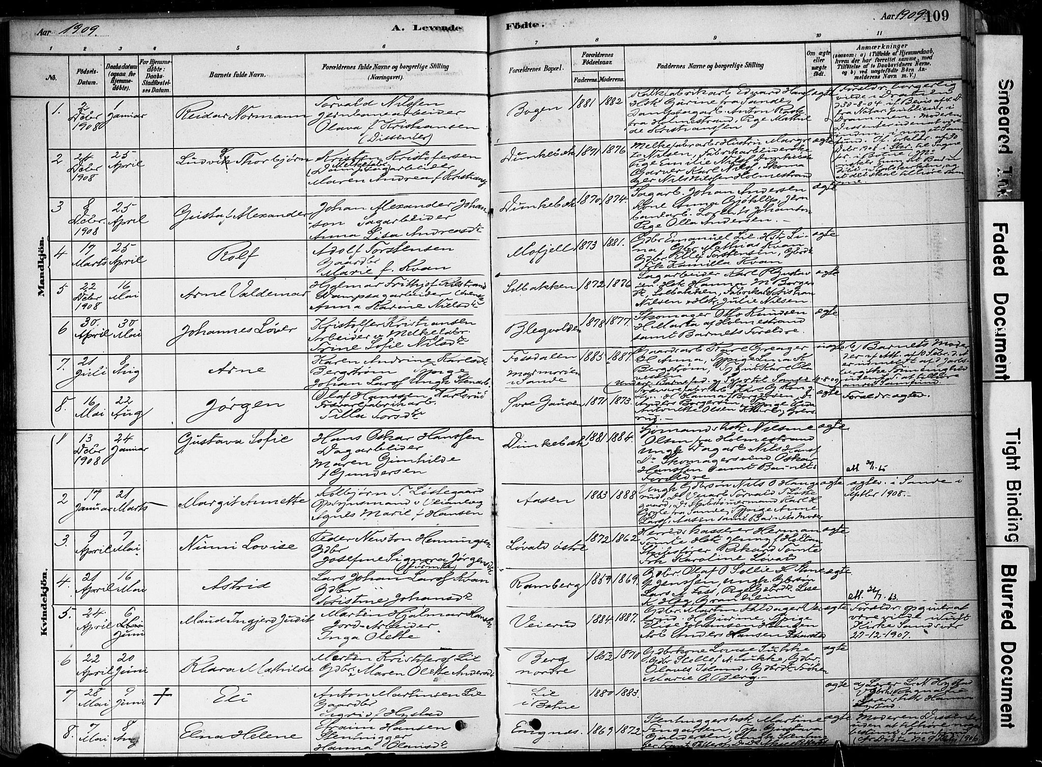 Botne kirkebøker, AV/SAKO-A-340/F/Fa/L0007: Parish register (official) no. I 7, 1878-1910, p. 109