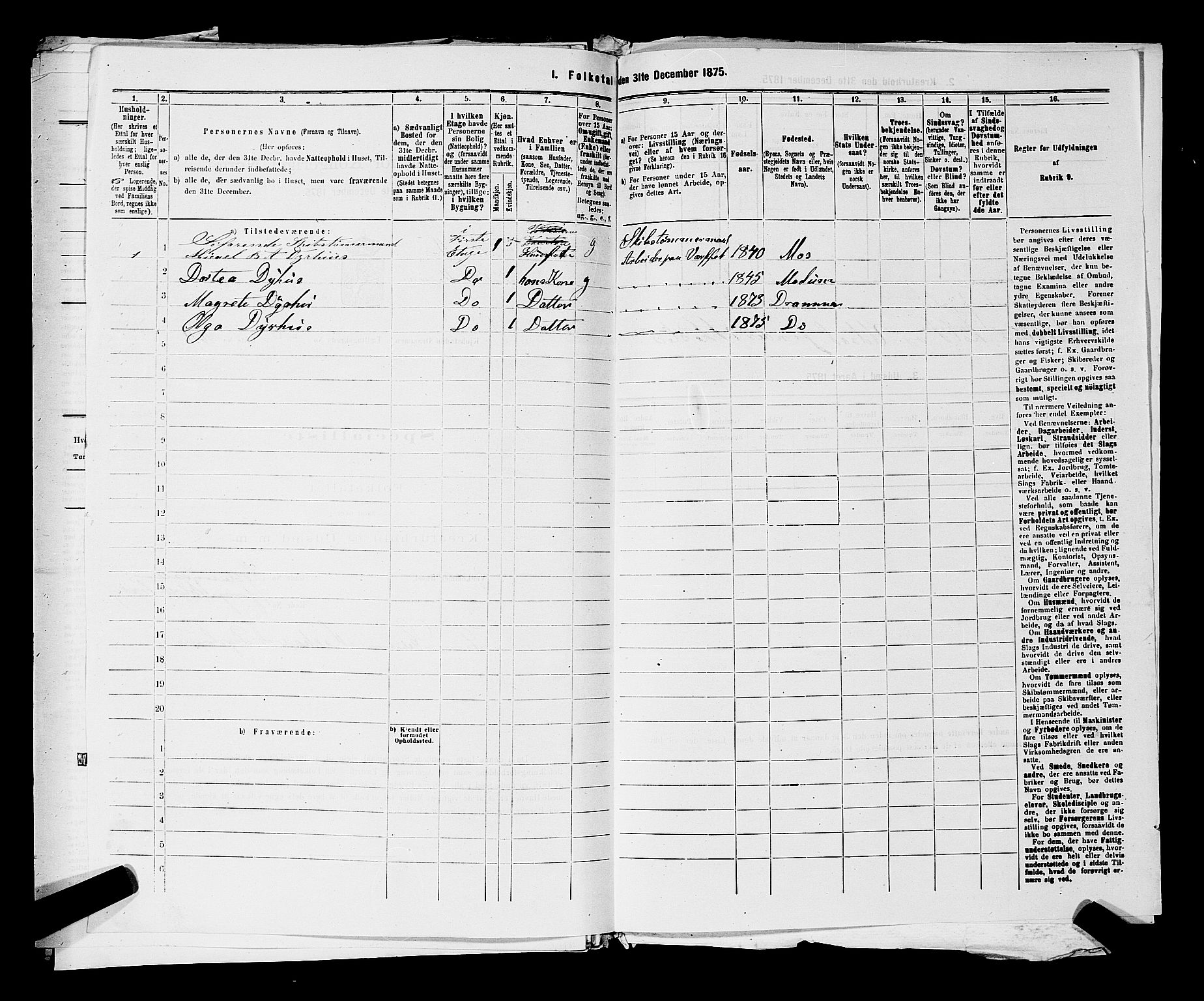 SAKO, 1875 census for 0602 Drammen, 1875, p. 3306