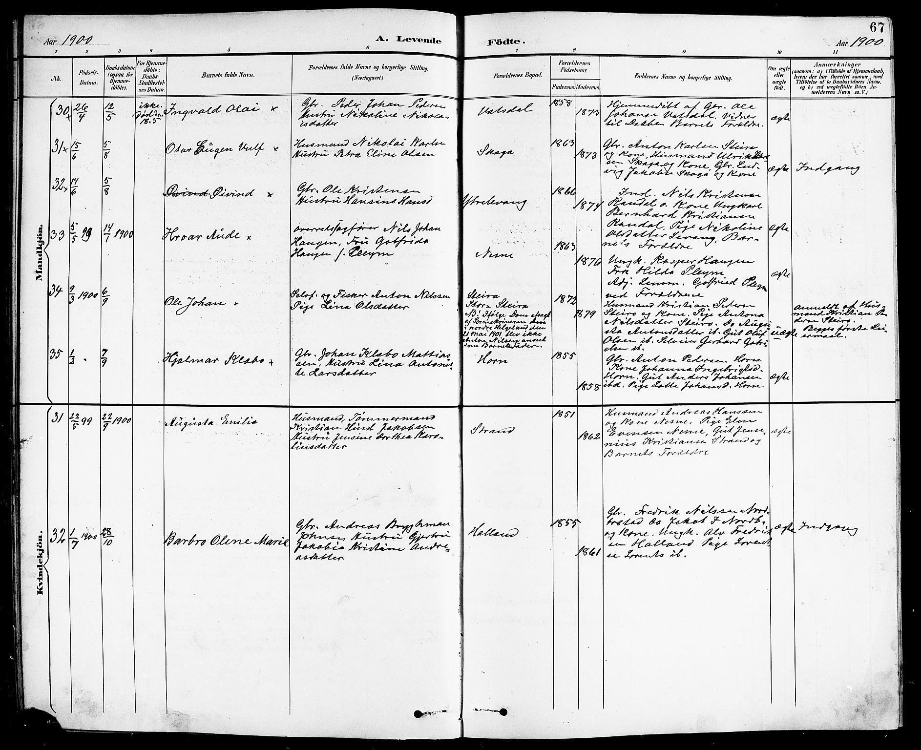 Ministerialprotokoller, klokkerbøker og fødselsregistre - Nordland, AV/SAT-A-1459/838/L0559: Parish register (copy) no. 838C06, 1893-1910, p. 67