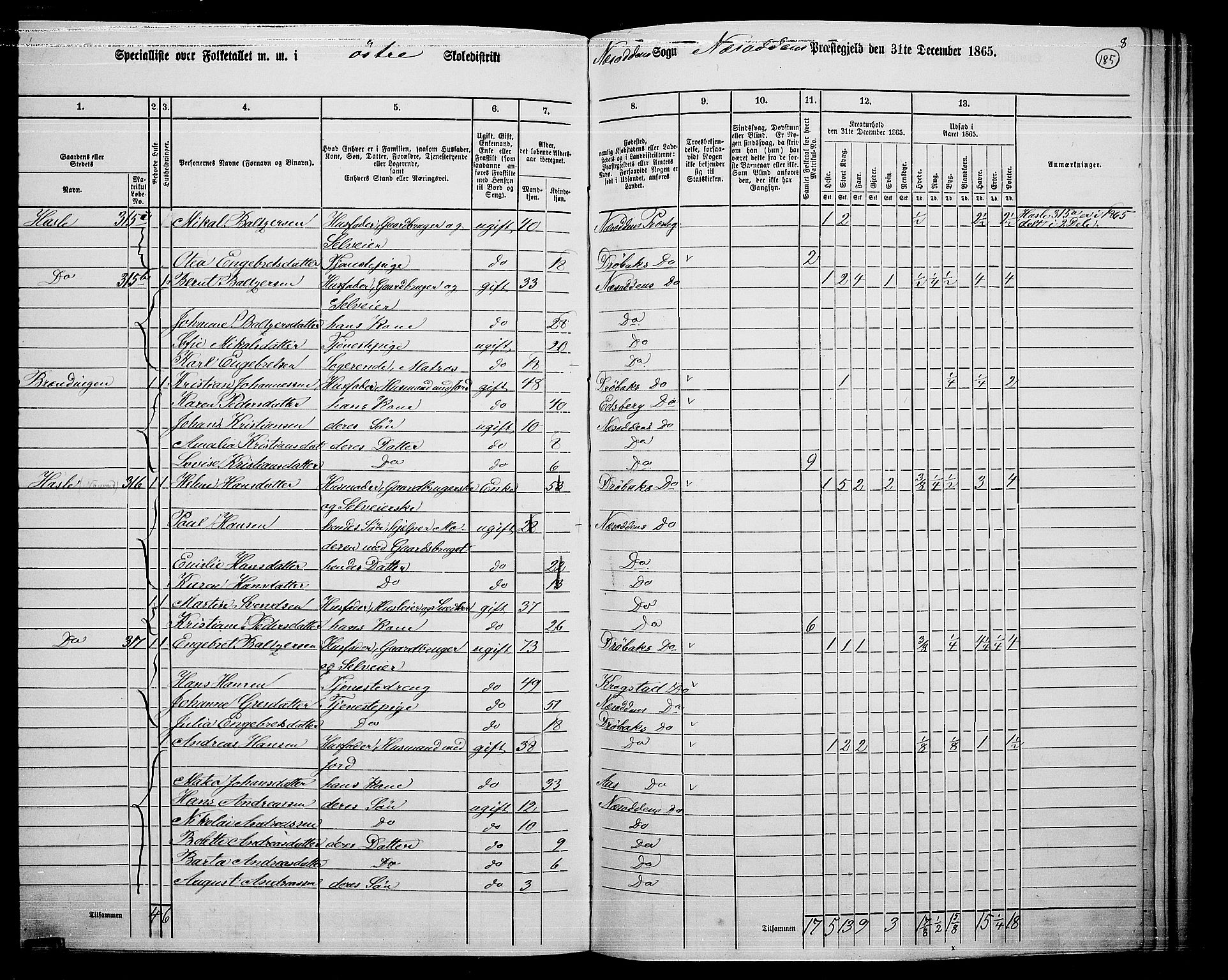 RA, 1865 census for Nesodden, 1865, p. 27