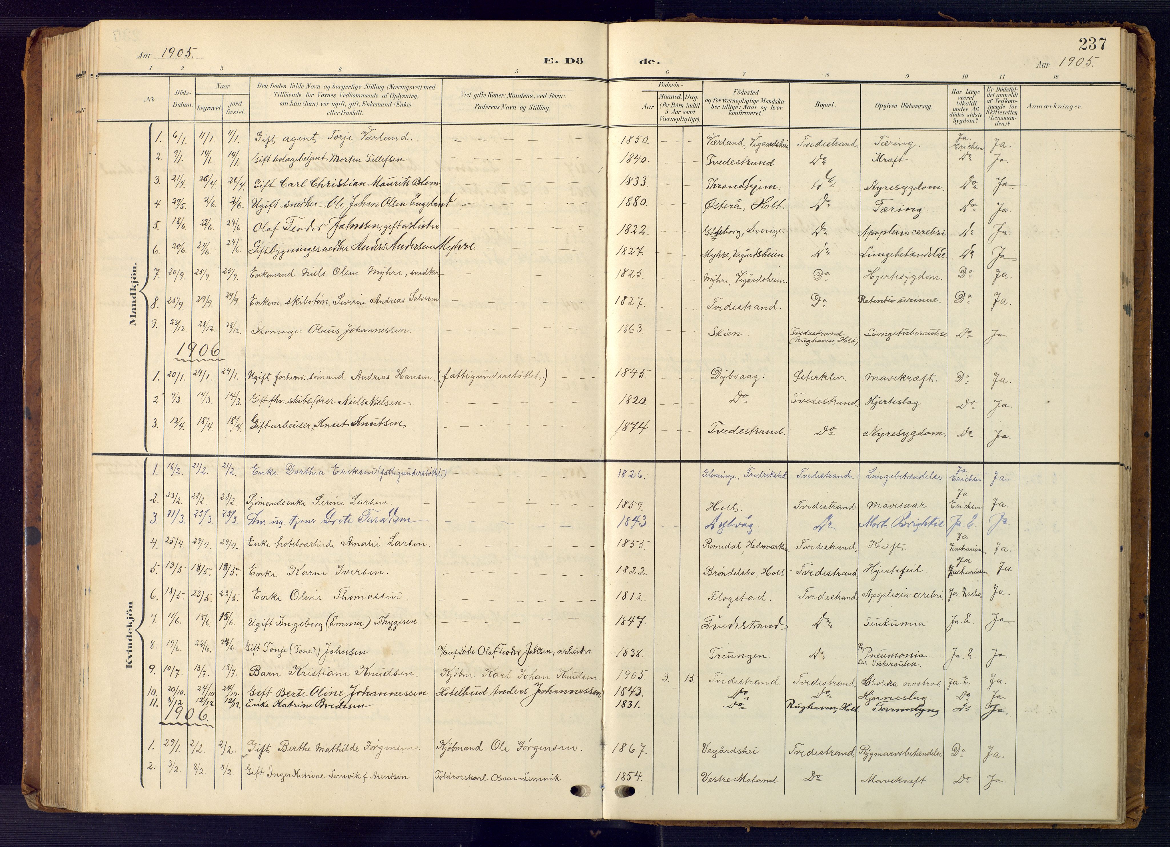 Tvedestrand sokneprestkontor, AV/SAK-1111-0042/F/Fb/L0001: Parish register (copy) no. B 1, 1902-1956, p. 237