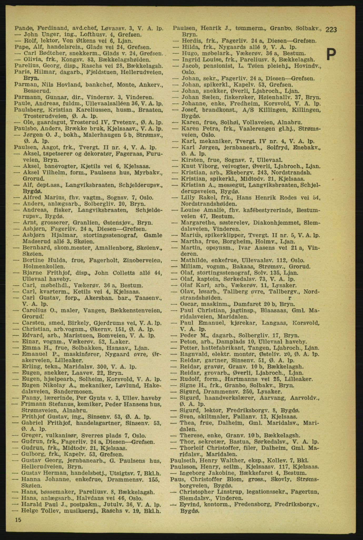 Aker adressebok/adressekalender, PUBL/001/A/004: Aker adressebok, 1929, p. 223