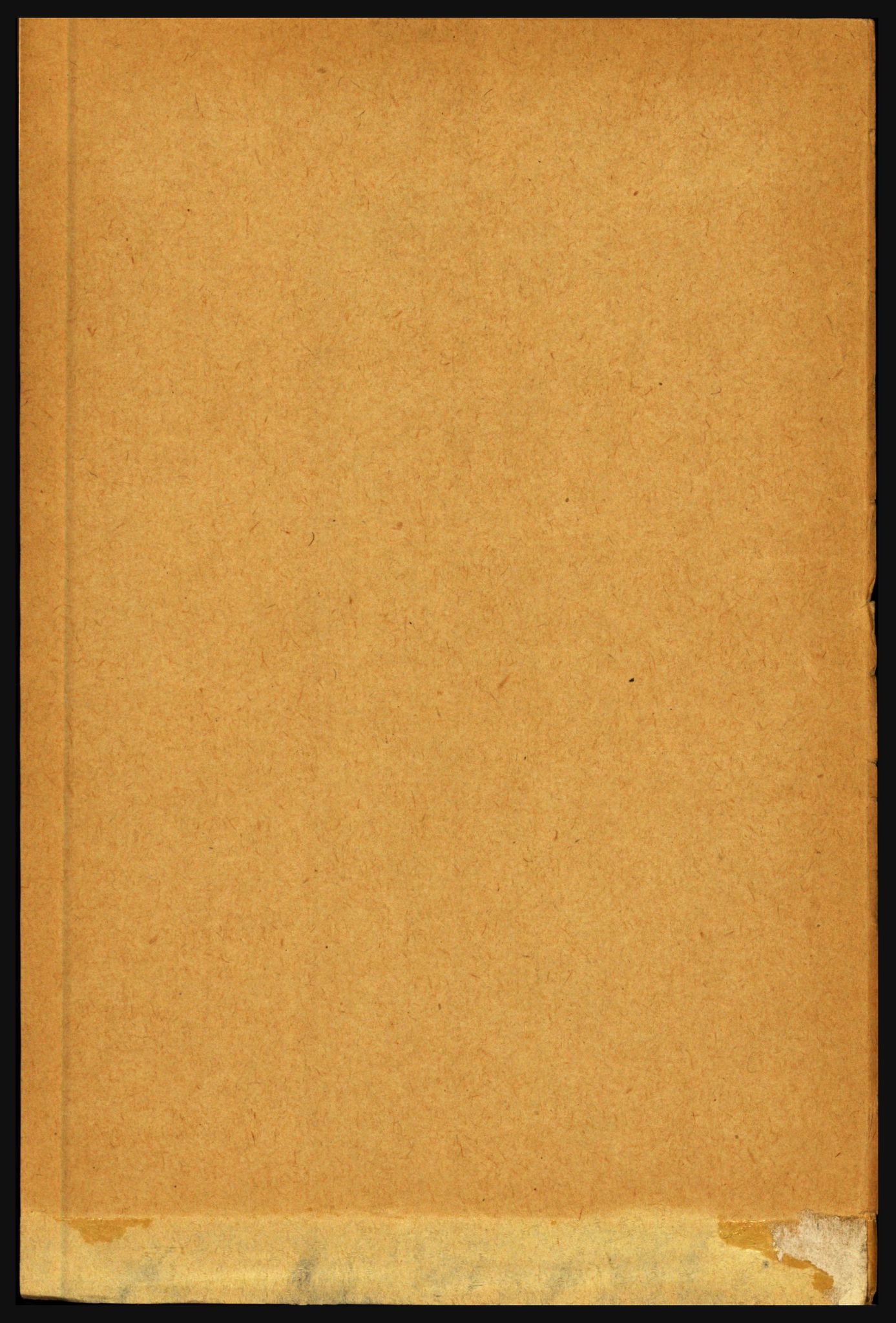 RA, 1891 census for 1843 Bodø, 1891, p. 3929