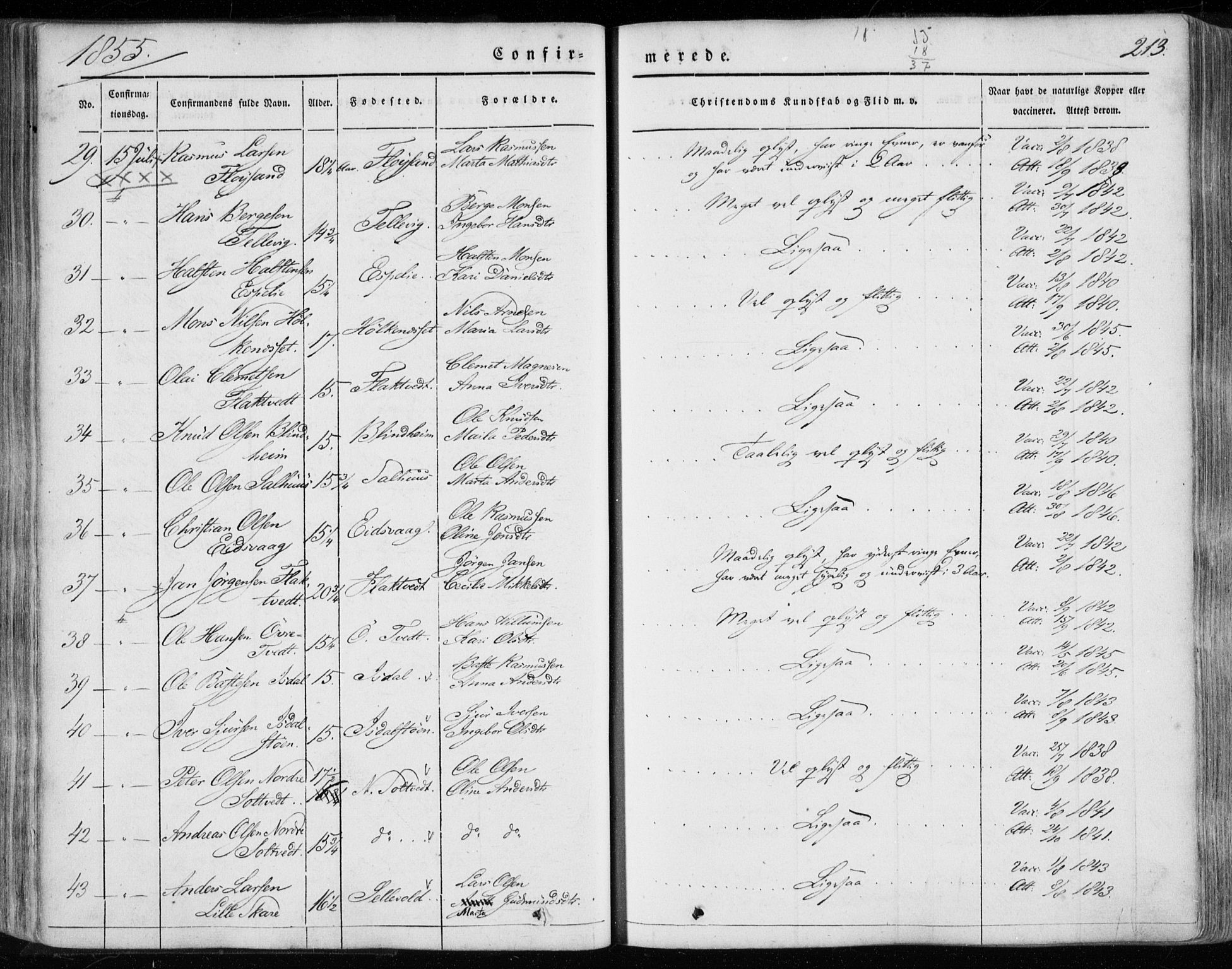 Hamre sokneprestembete, AV/SAB-A-75501/H/Ha/Haa/Haaa/L0013: Parish register (official) no. A 13, 1846-1857, p. 213