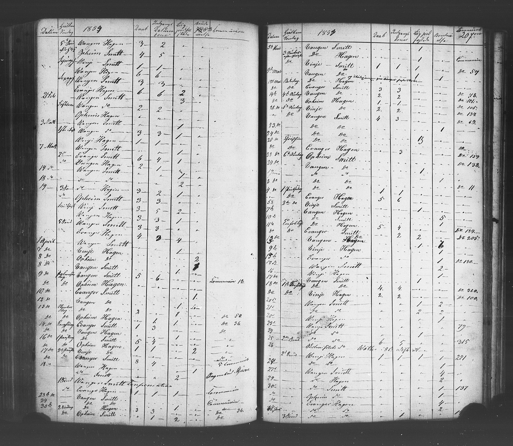 Voss sokneprestembete, AV/SAB-A-79001/H/Haa: Parish register (official) no. A 19, 1851-1886, p. 207