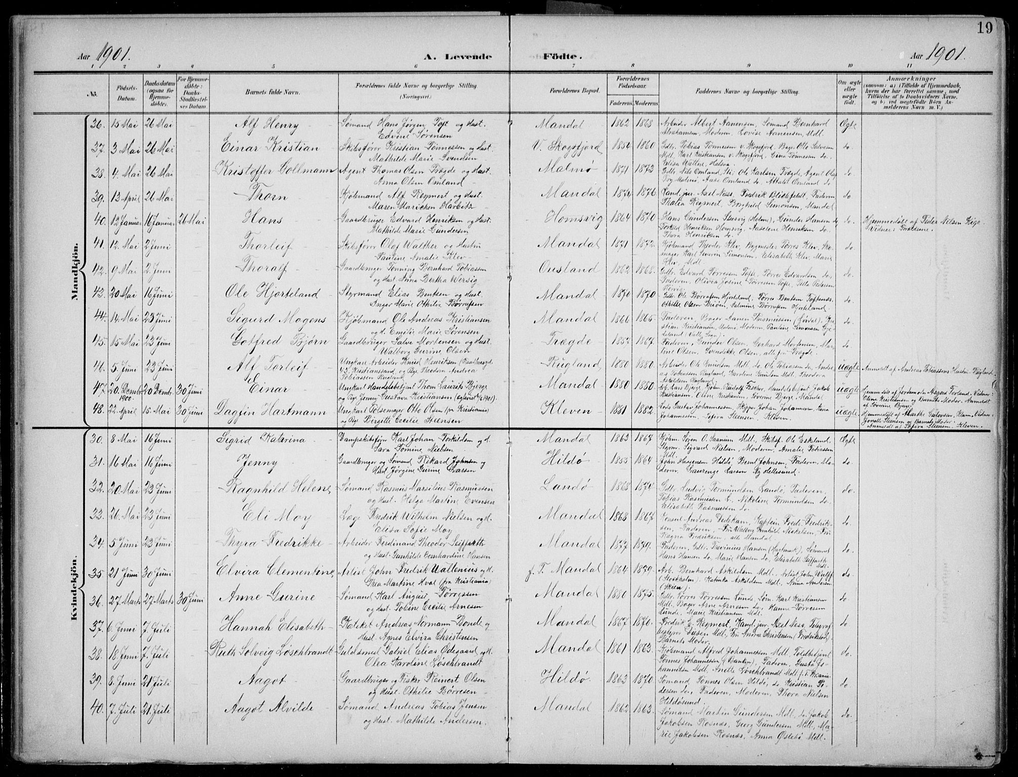 Mandal sokneprestkontor, AV/SAK-1111-0030/F/Fb/Fba/L0012: Parish register (copy) no. B 6, 1899-1918, p. 19