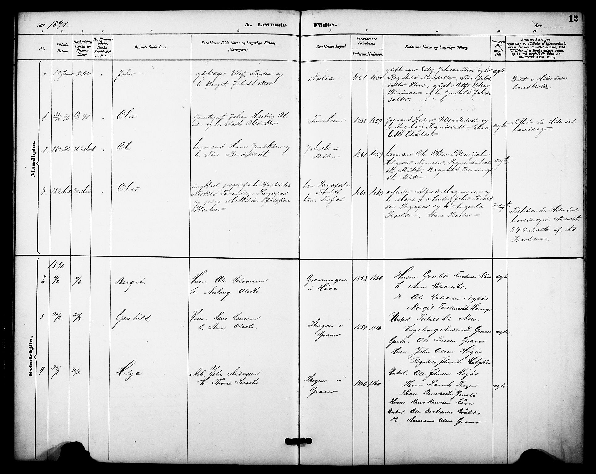 Heddal kirkebøker, SAKO/A-268/F/Fb/L0001: Parish register (official) no. II 1, 1884-1910, p. 12