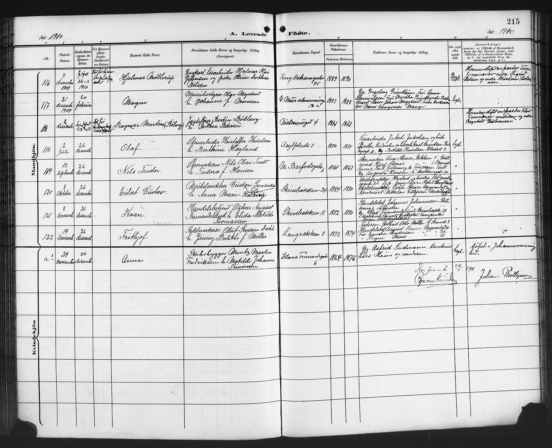 Domkirken sokneprestembete, AV/SAB-A-74801/H/Hab/L0017: Parish register (copy) no. B 10, 1900-1915, p. 215