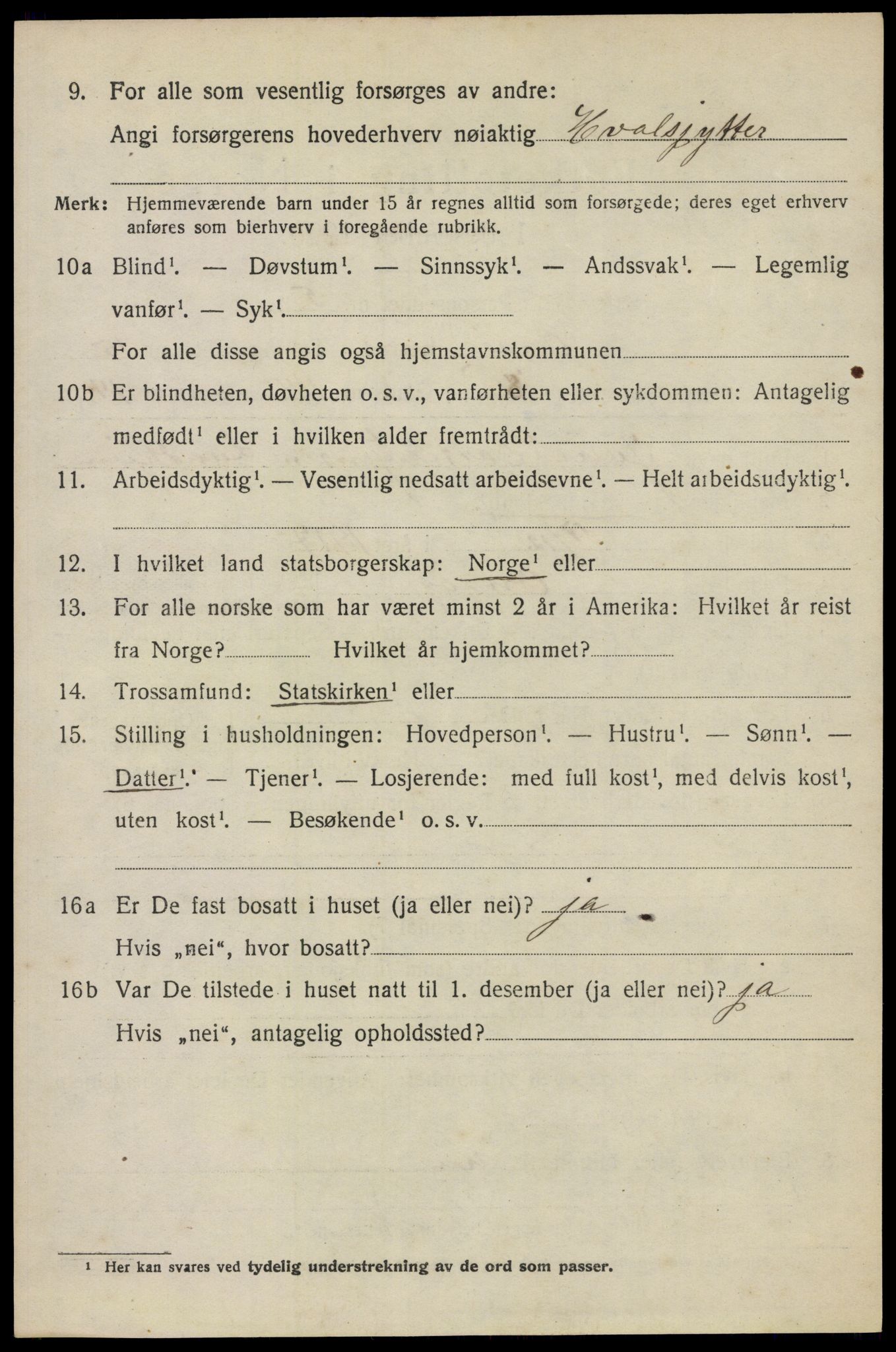 SAO, 1920 census for Onsøy, 1920, p. 17533