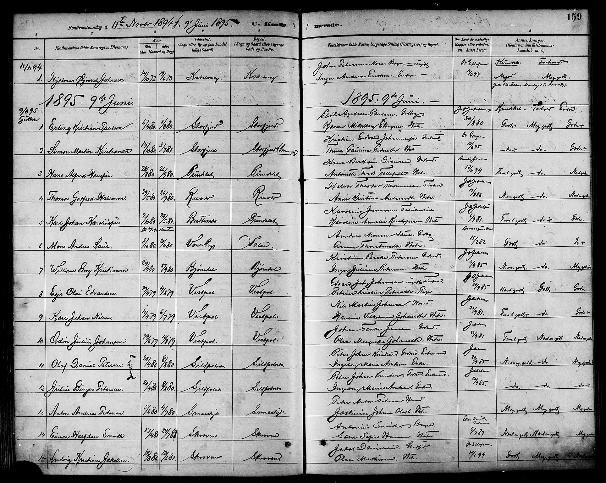 Ministerialprotokoller, klokkerbøker og fødselsregistre - Nordland, AV/SAT-A-1459/874/L1060: Parish register (official) no. 874A04, 1890-1899, p. 159