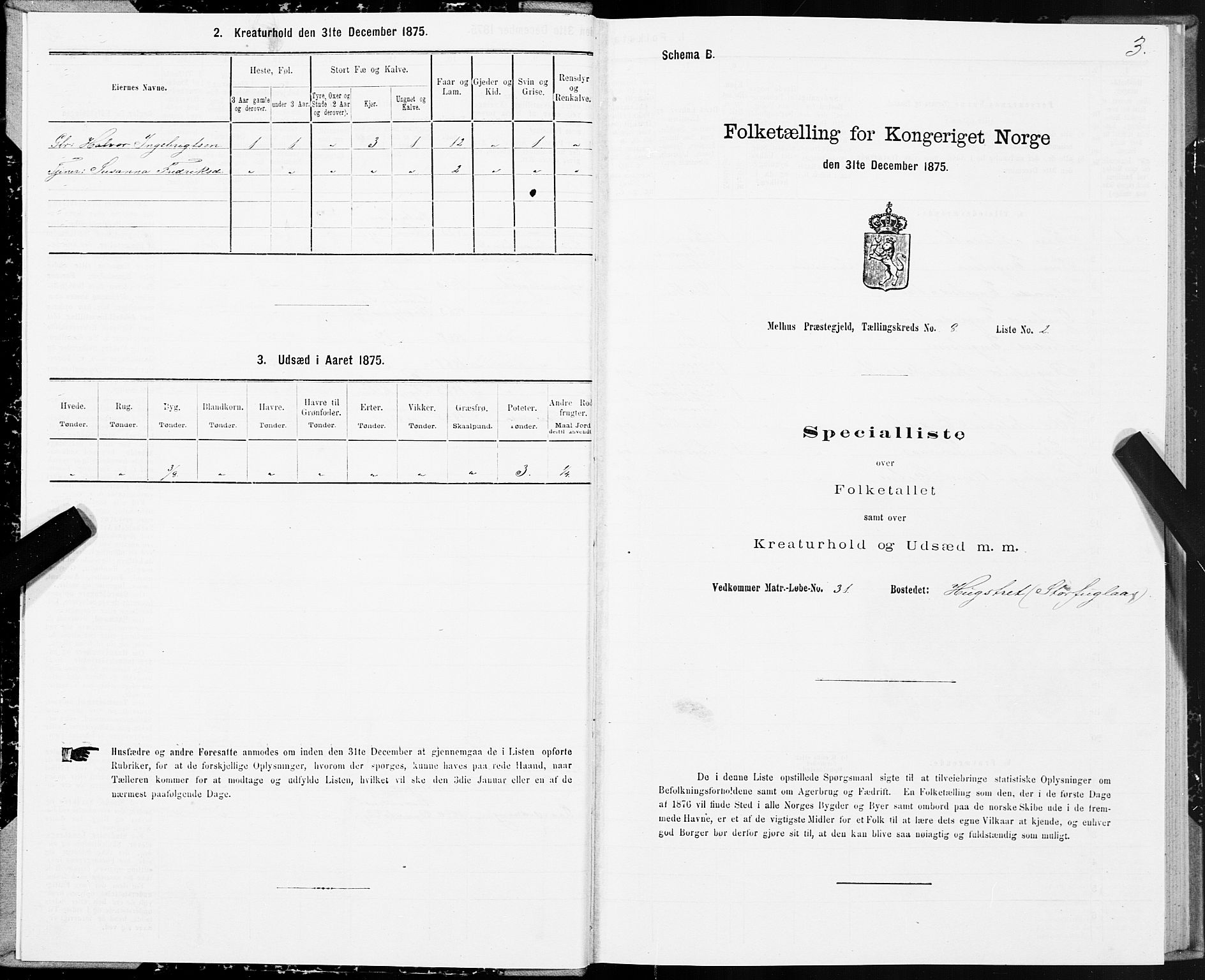 SAT, 1875 census for 1653P Melhus, 1875, p. 7003