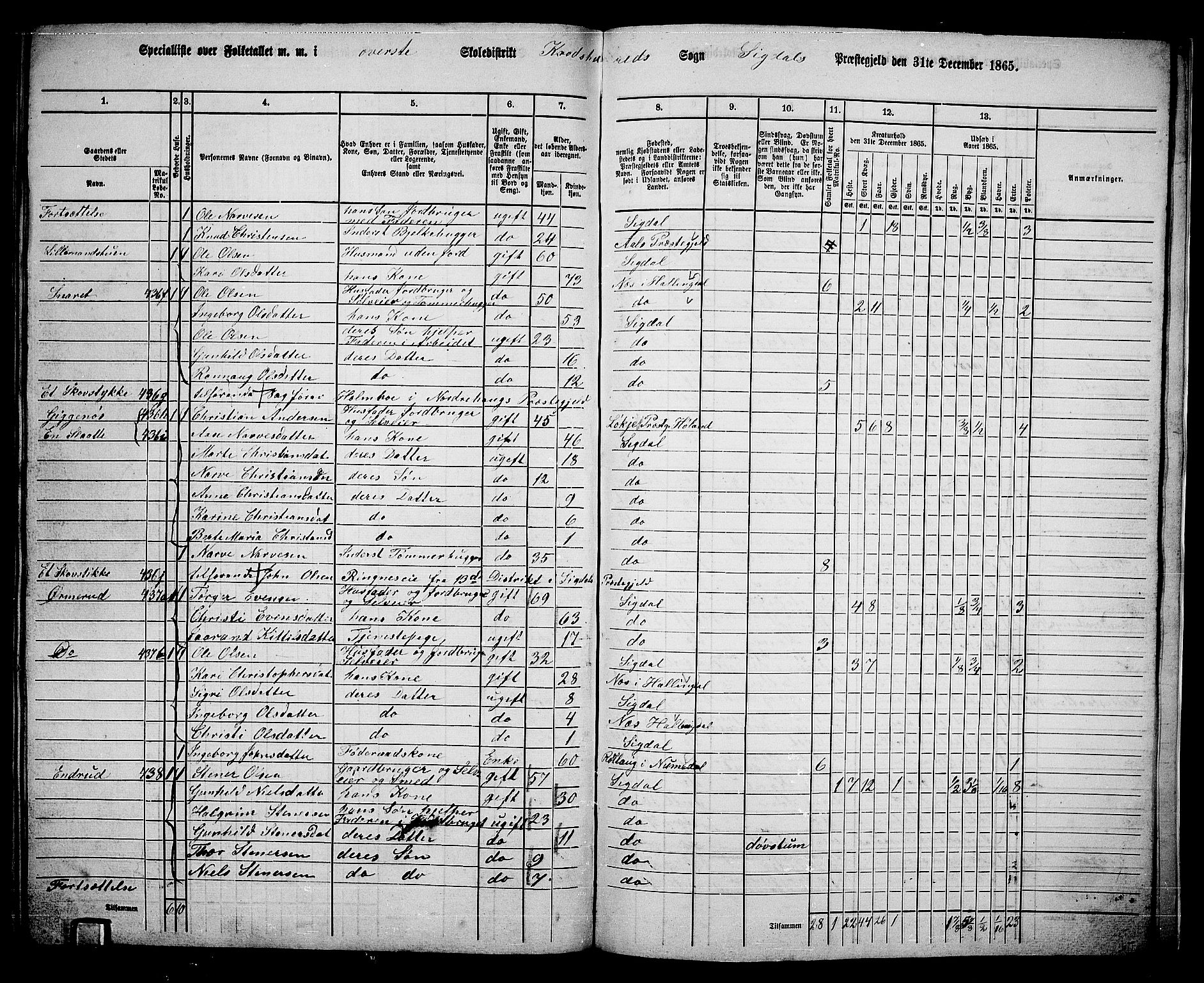 RA, 1865 census for Sigdal, 1865, p. 264