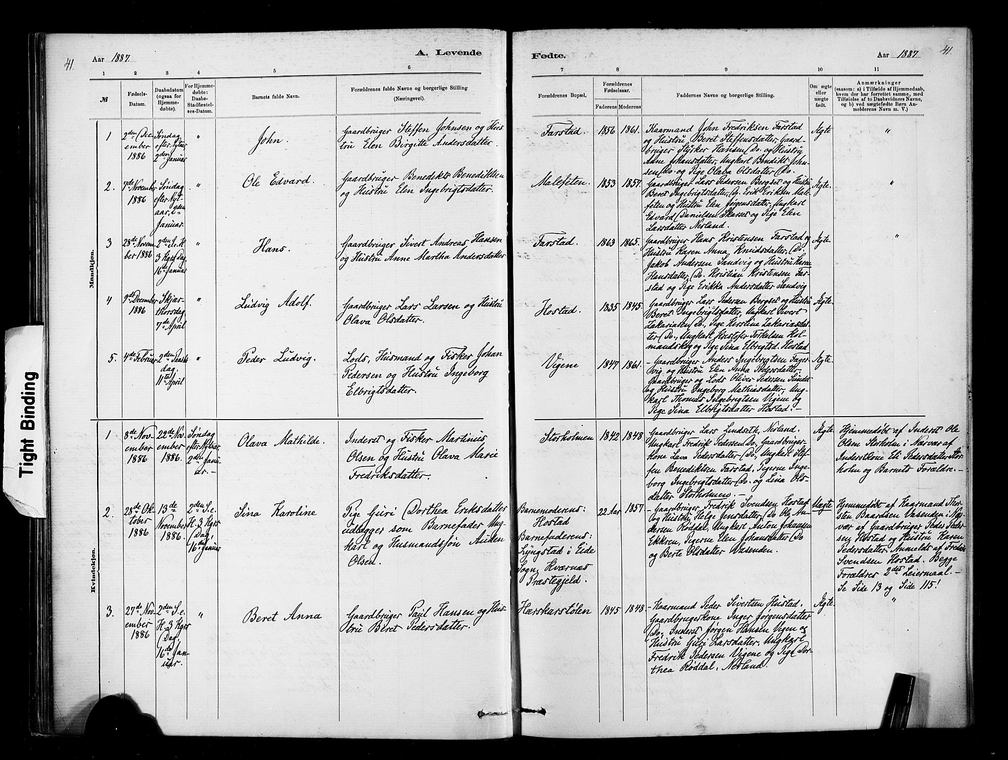 Ministerialprotokoller, klokkerbøker og fødselsregistre - Møre og Romsdal, AV/SAT-A-1454/567/L0778: Parish register (official) no. 567A01, 1881-1903, p. 41