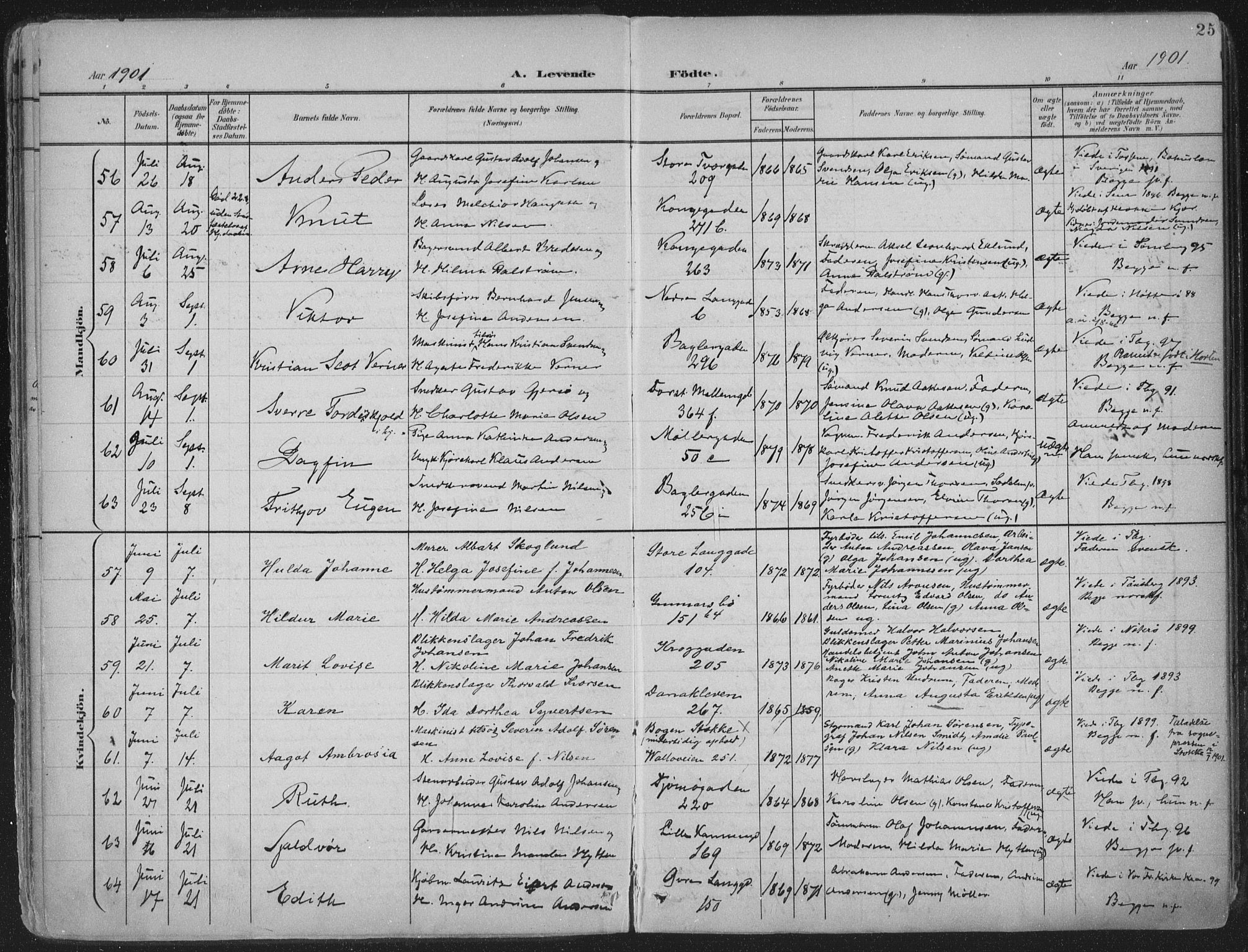 Tønsberg kirkebøker, SAKO/A-330/F/Fa/L0014: Parish register (official) no. I 14, 1900-1913, p. 25