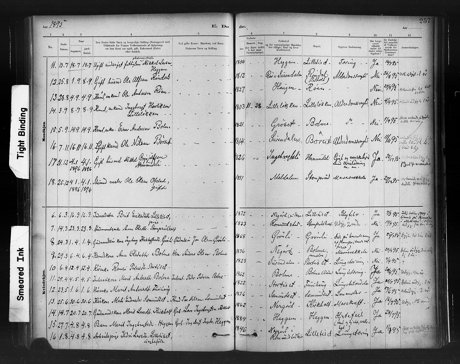 Ministerialprotokoller, klokkerbøker og fødselsregistre - Møre og Romsdal, AV/SAT-A-1454/598/L1069: Parish register (official) no. 598A03, 1882-1895, p. 257