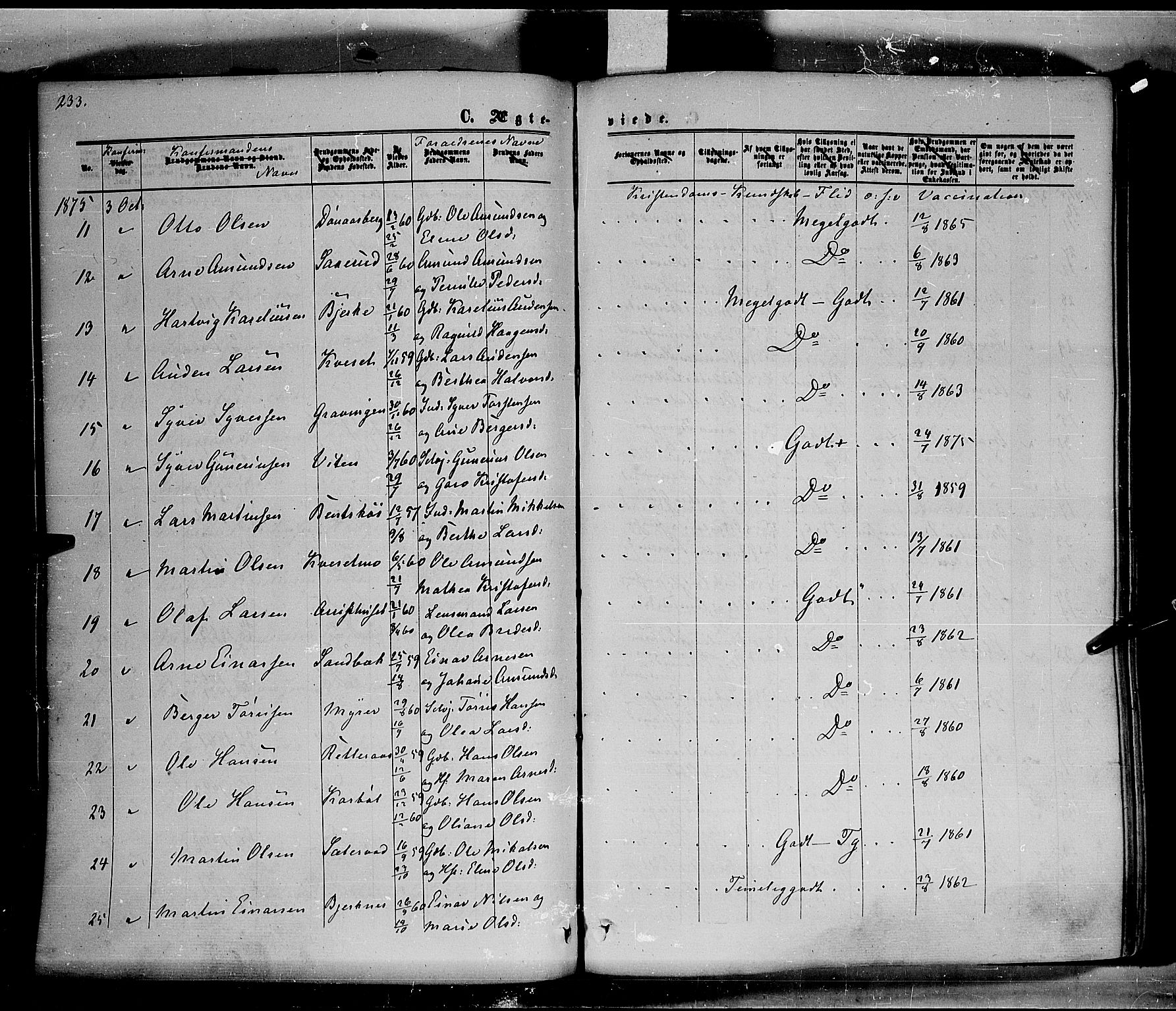 Hof prestekontor, AV/SAH-PREST-038/H/Ha/Haa/L0009: Parish register (official) no. 9, 1862-1877, p. 233